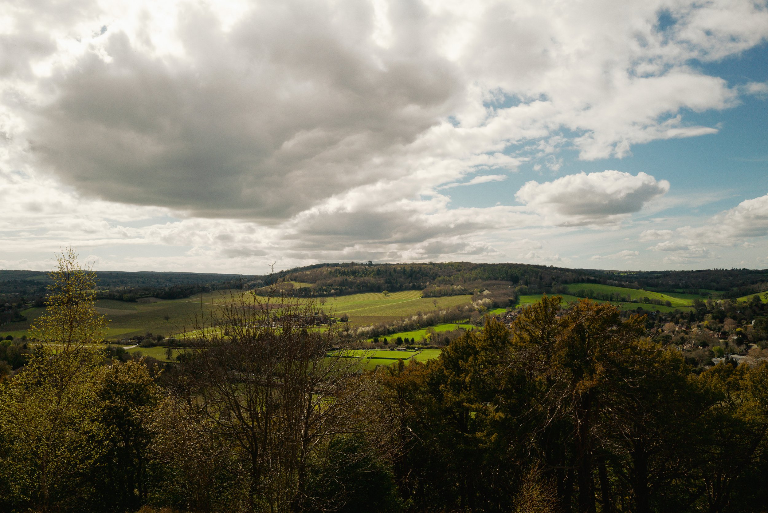 View from Box Hill