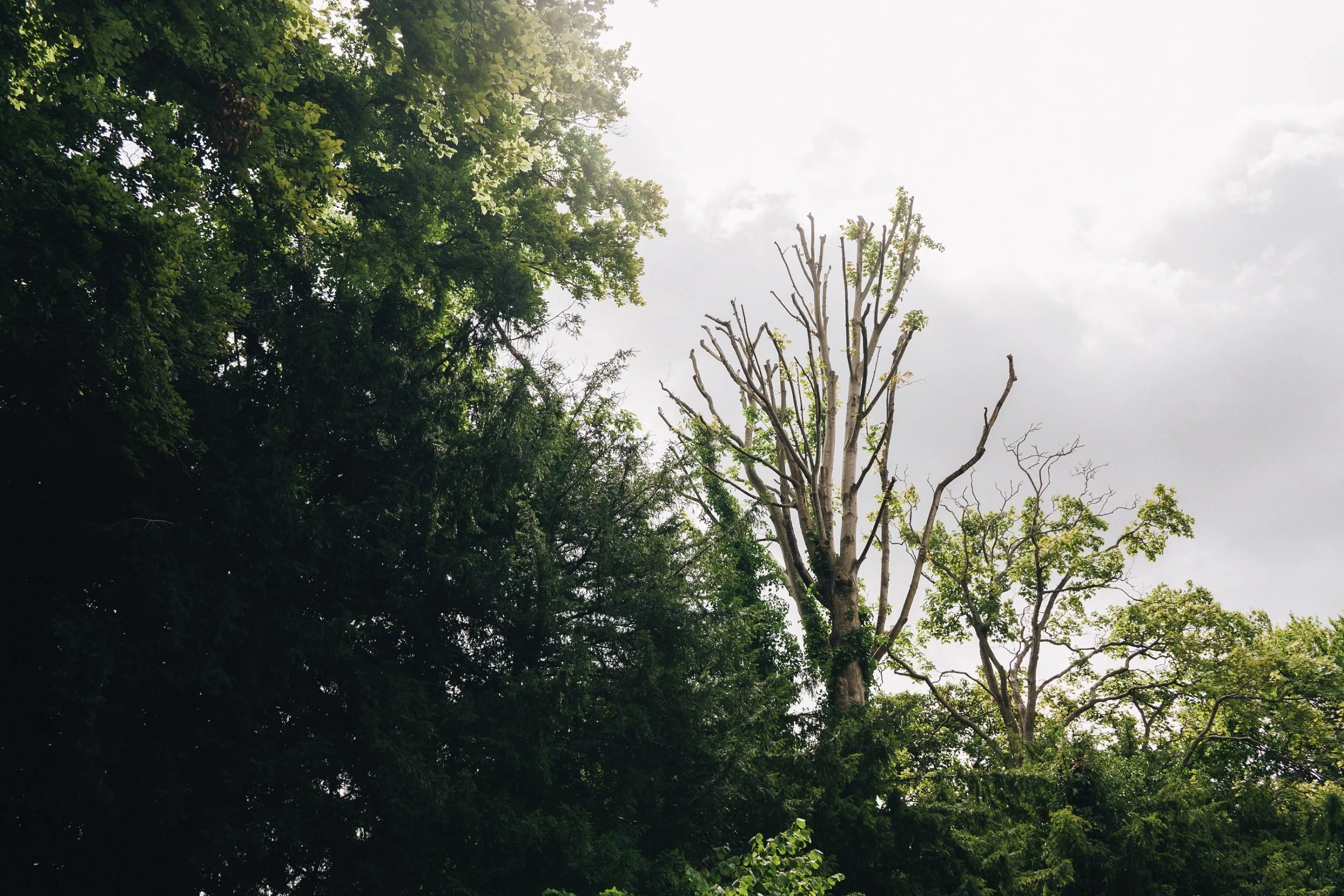 Outside views of the Guildford wedding venue