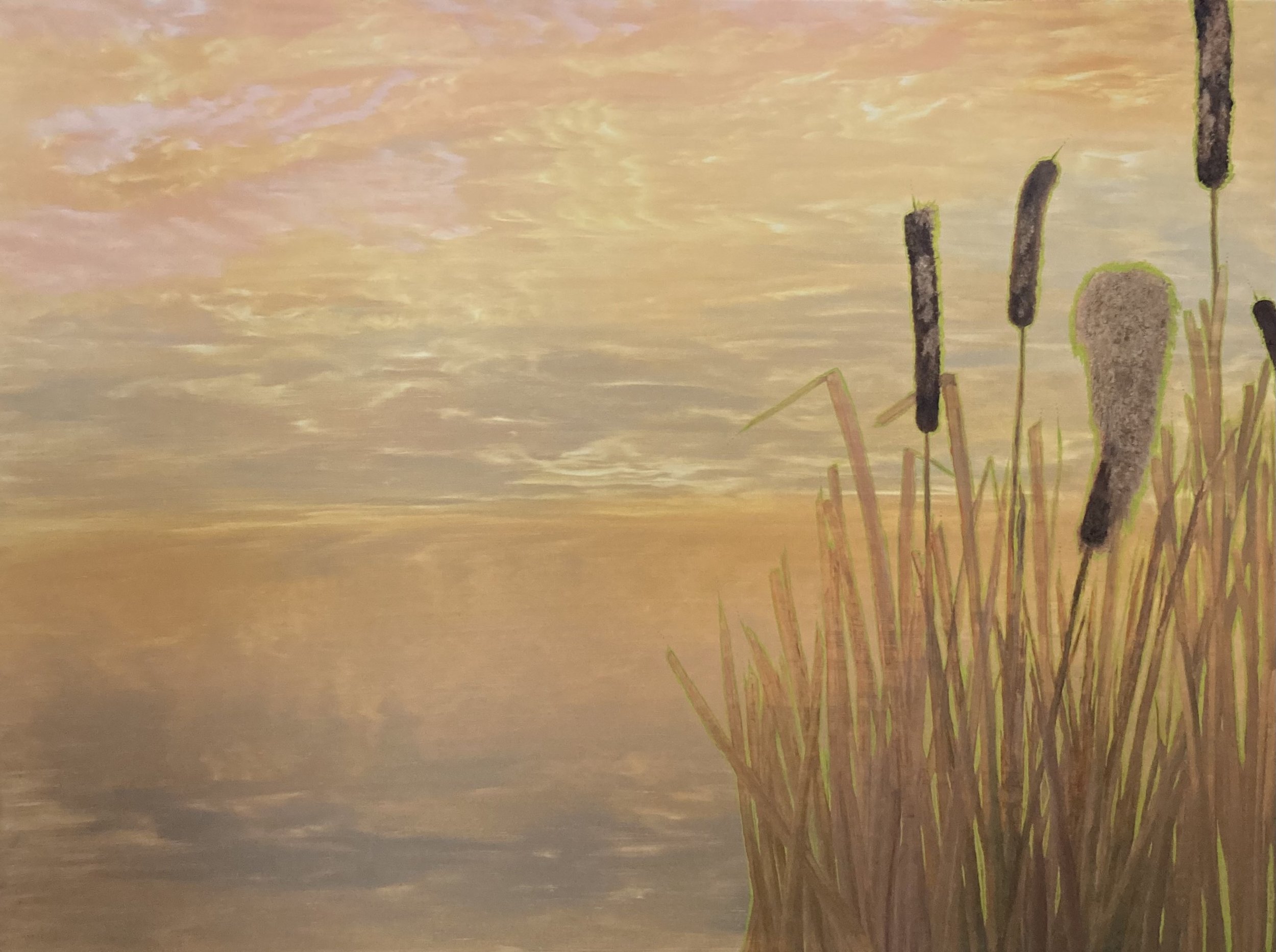 Cattail John - Available