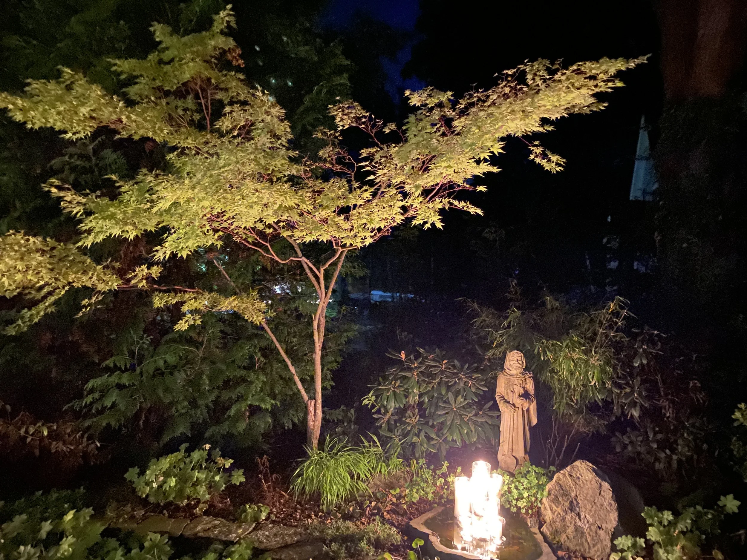 Garden Tour
