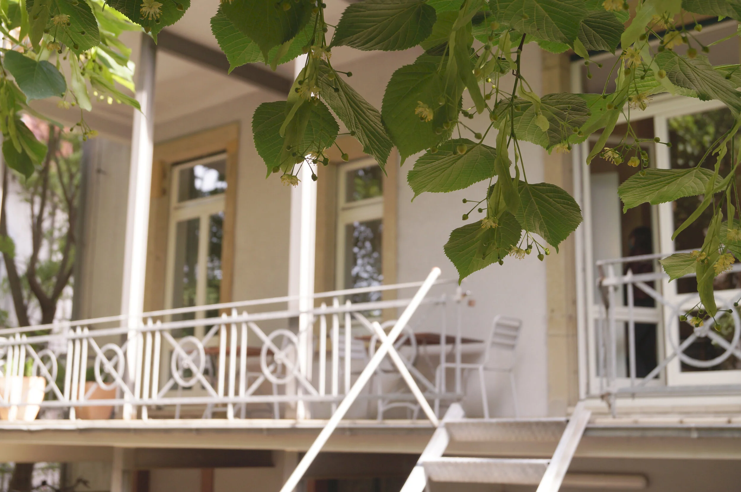 Balkon-mit_Blättern.jpg
