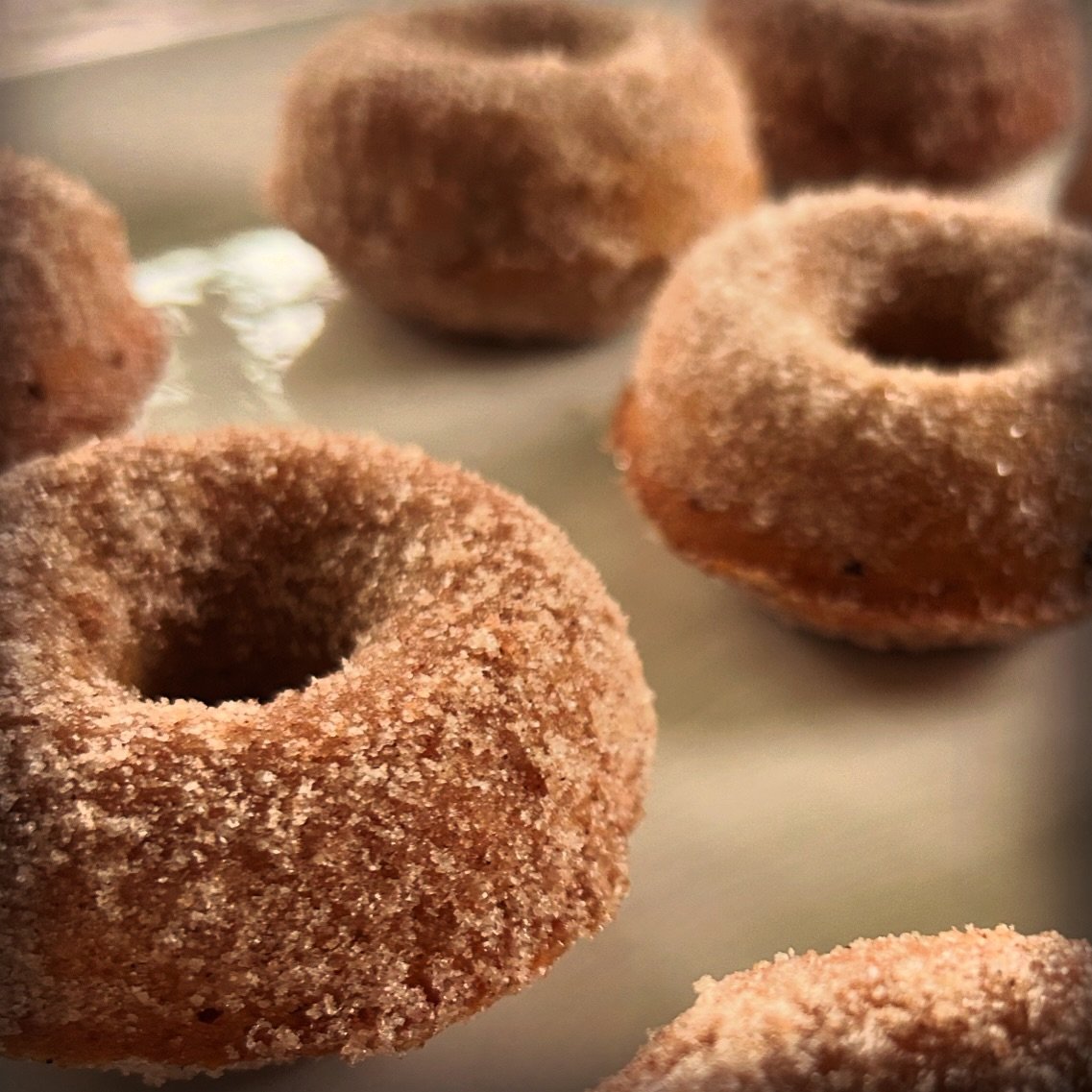 I can&rsquo;t even describe how incredible these are. 
Baked Apple Spice donuts rolled in cinnamon sugar. 
Copy and paste this link for recipe: https://cooking.nytimes.com/recipes/1019593-baked-apple-cider-doughnuts?smid=ck-recipe-iOS-share
.
.
.
.
#