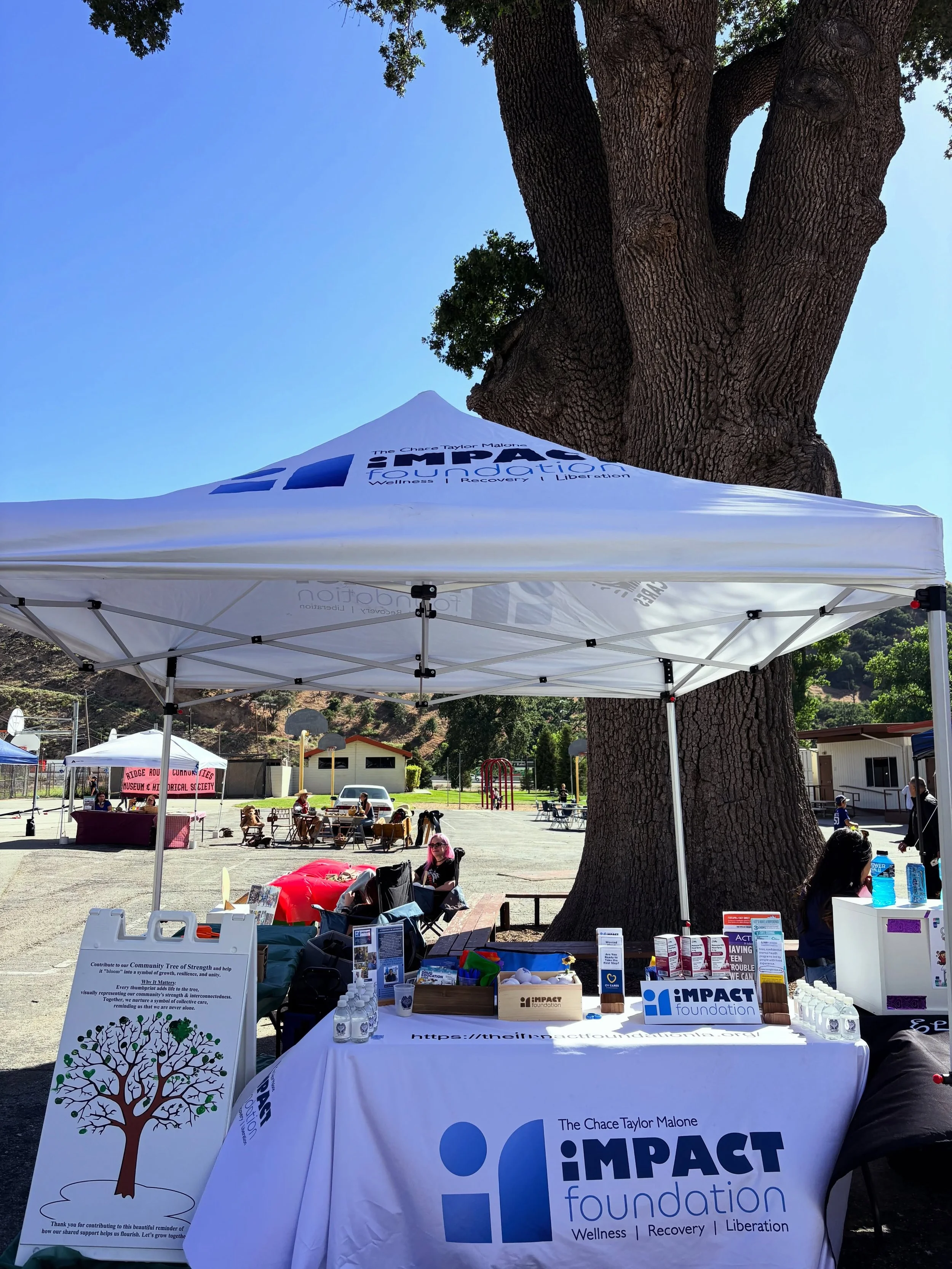 .
New Opportunities to connect 
and advocate:

42 Narcan boxes given out (Free)
40 Fentanyl Tester Kits
Given Out to Adults
🩷
38 CV Cares Stress Balls
50 CV Cares Stickers
48 CV Cares Water Bottles
Given Out to Kids
💙
1 New Volunteer
1 New Training