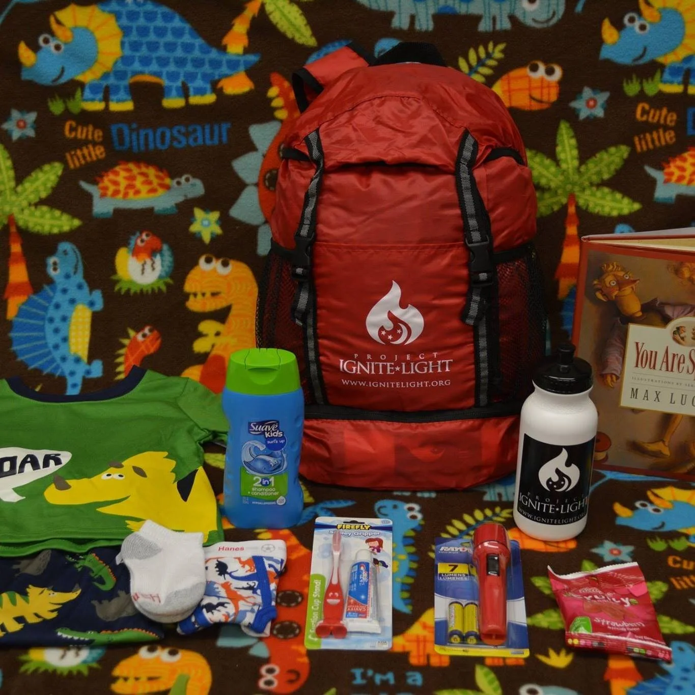 Bags of Hope — Project Ignite Light