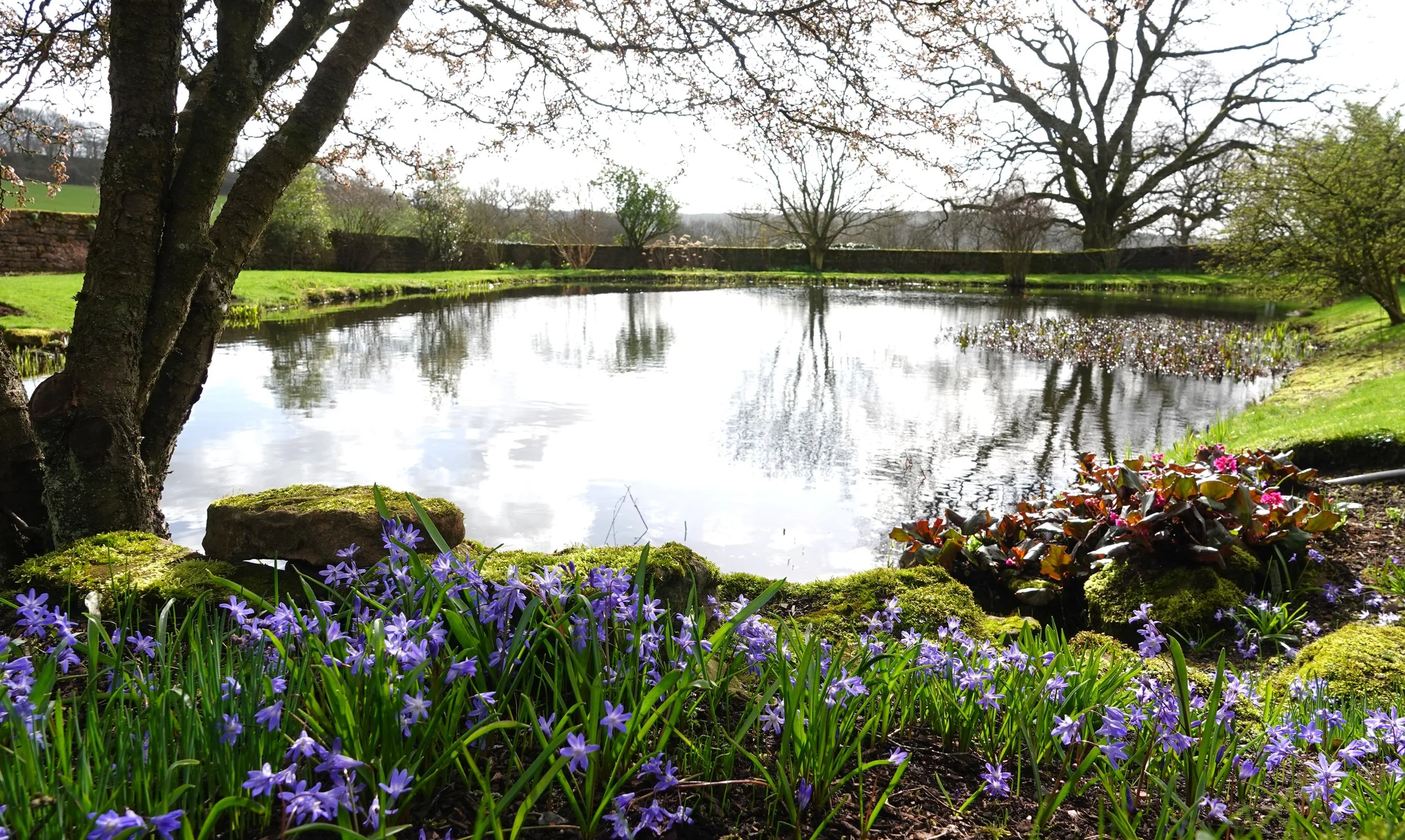 felley-priory_55143606348_o.jpg