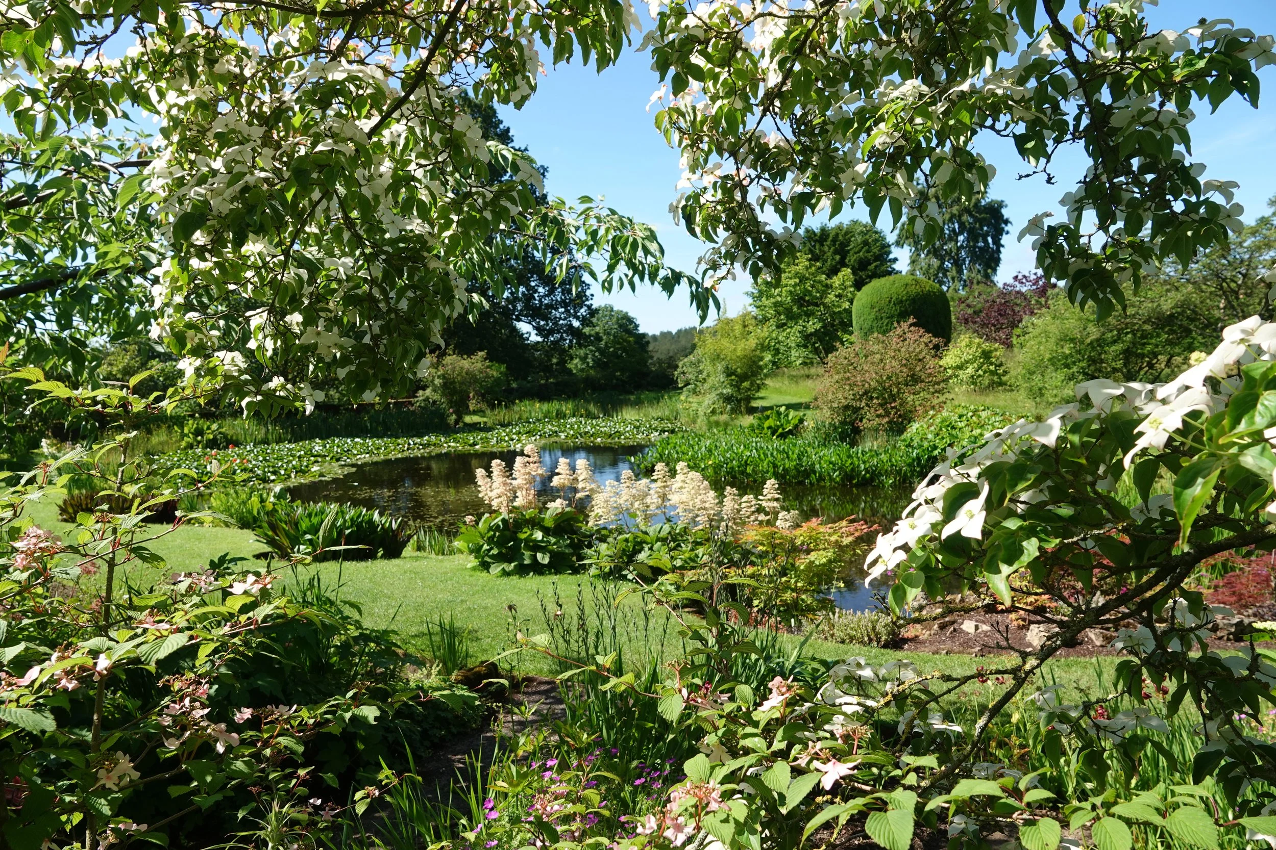 felley-priory_55351048615_o.jpg