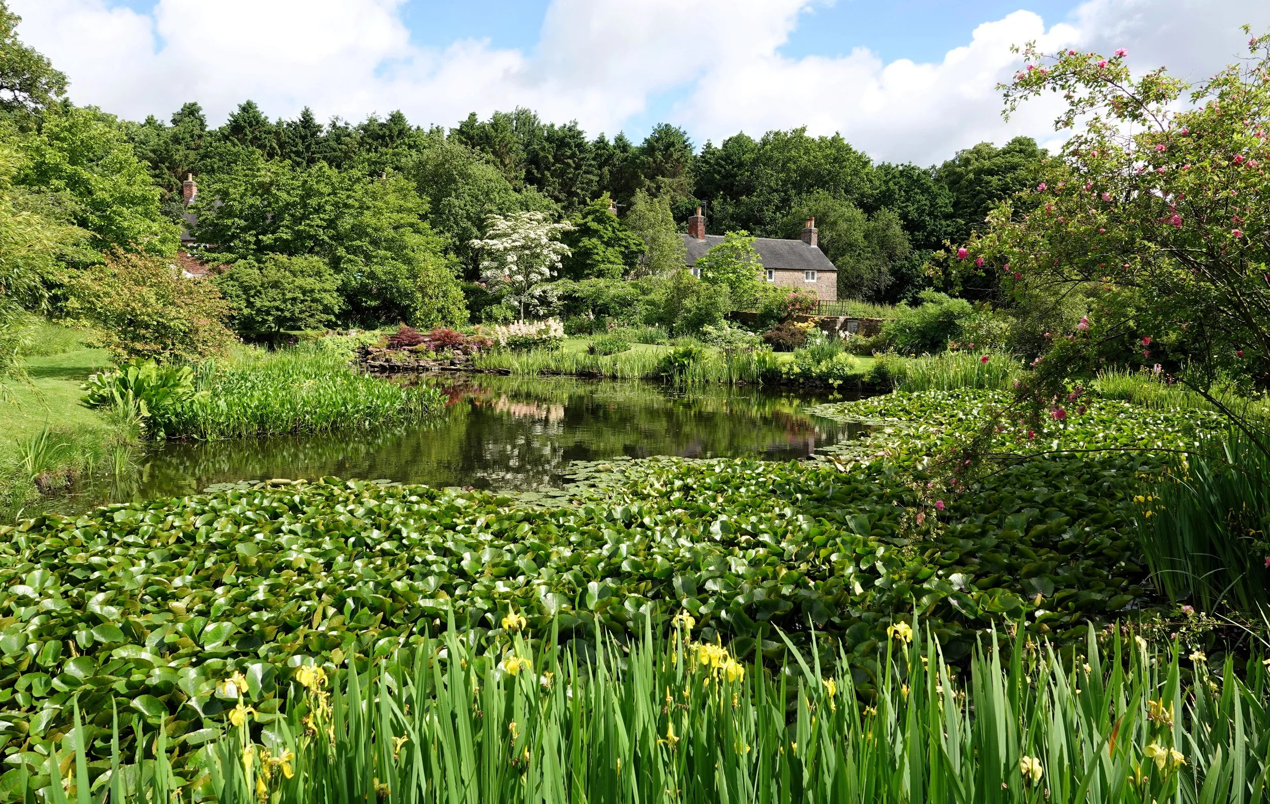 felley-priory_55326255366_o.jpg