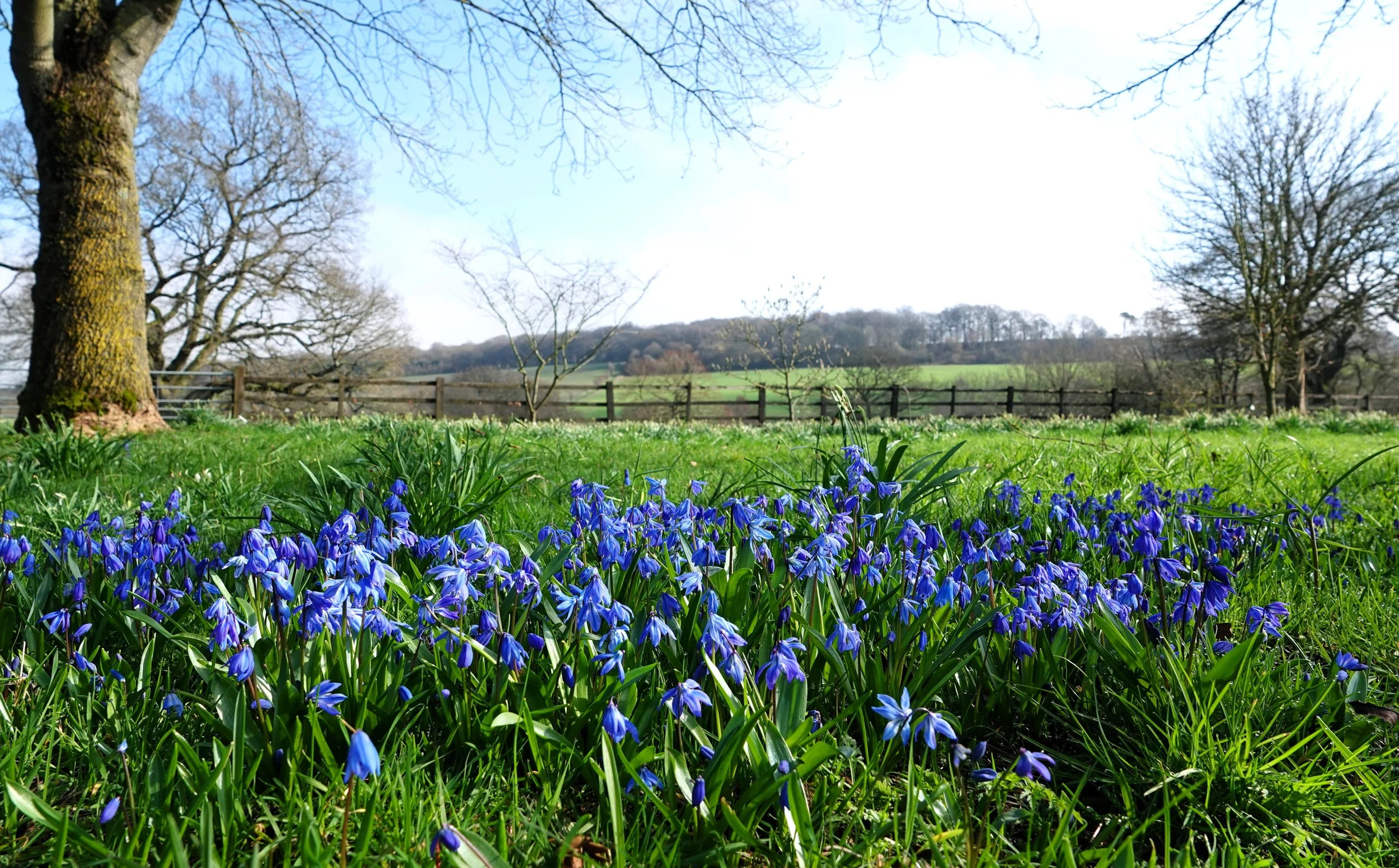 felley-priory_55133562161_o.jpg