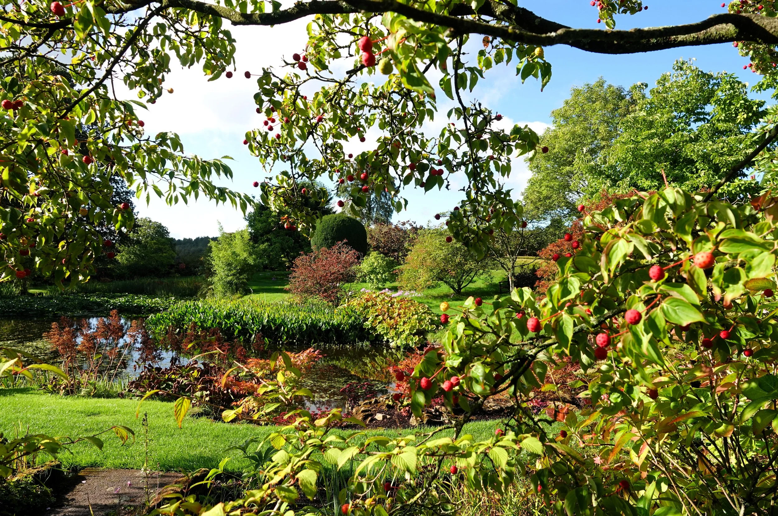 felley-priory_55531937180_o.jpg