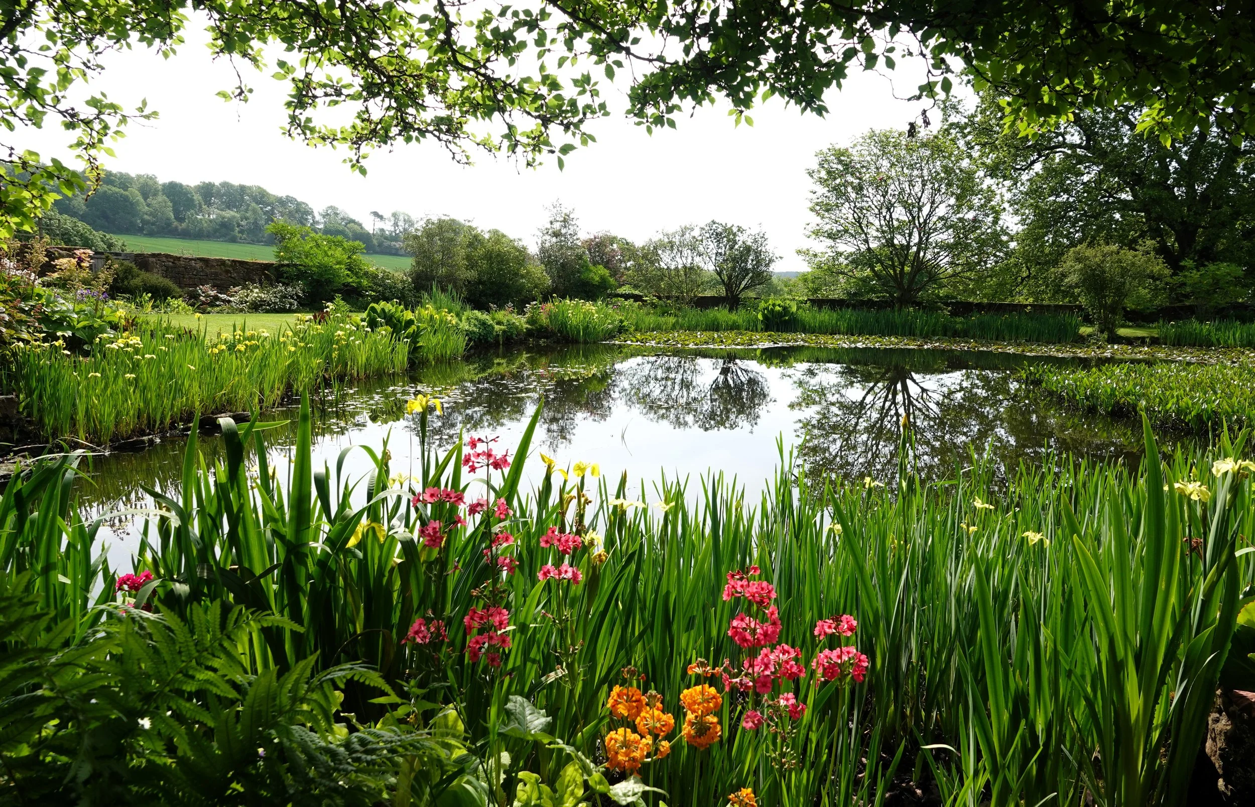 felley-priory_55296425536_o.jpg