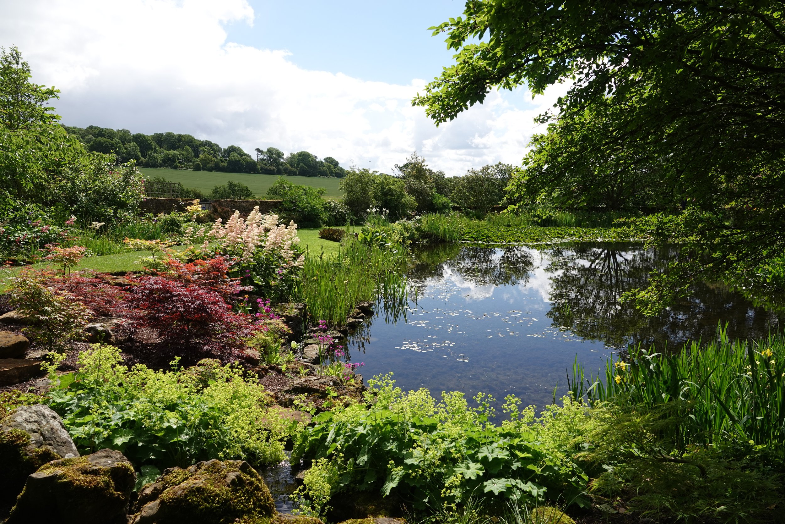 felley-priory_55326256106_o.jpg
