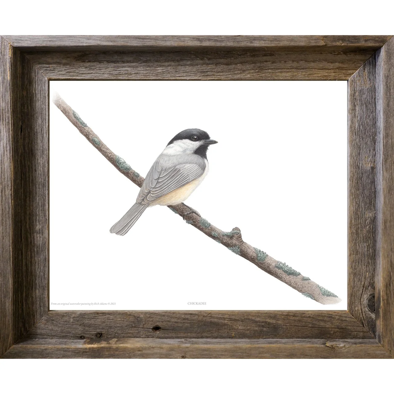 Chickadee BW.jpg