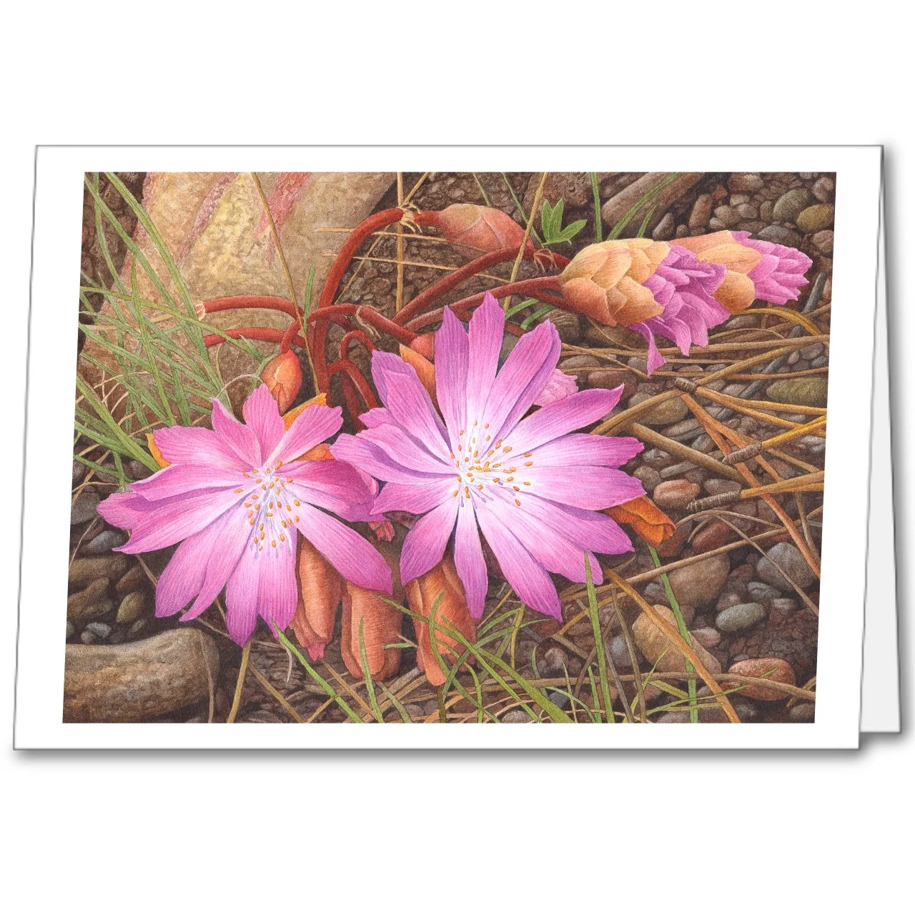 Gifts of the Earth notecard