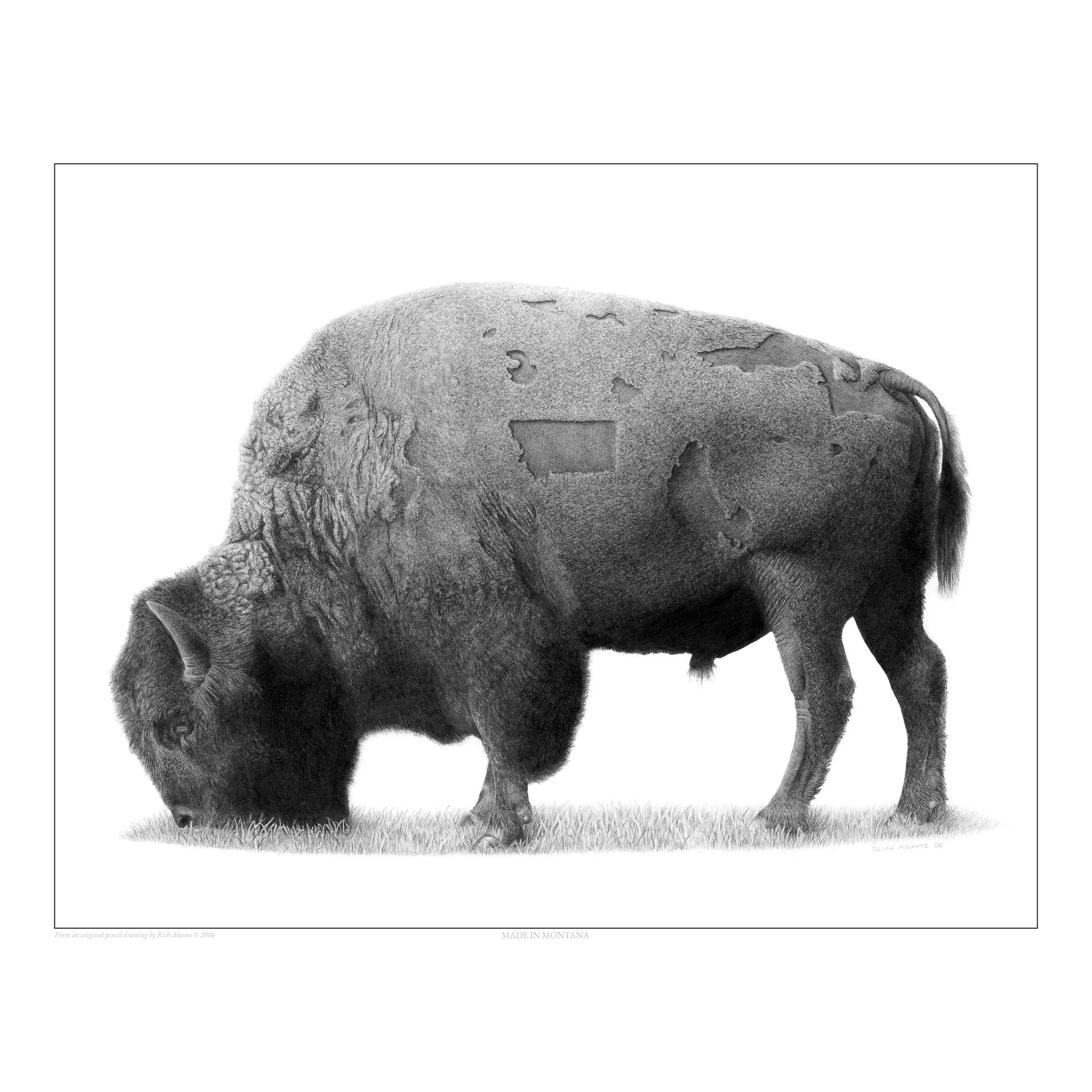 Made in Montana WR.jpg