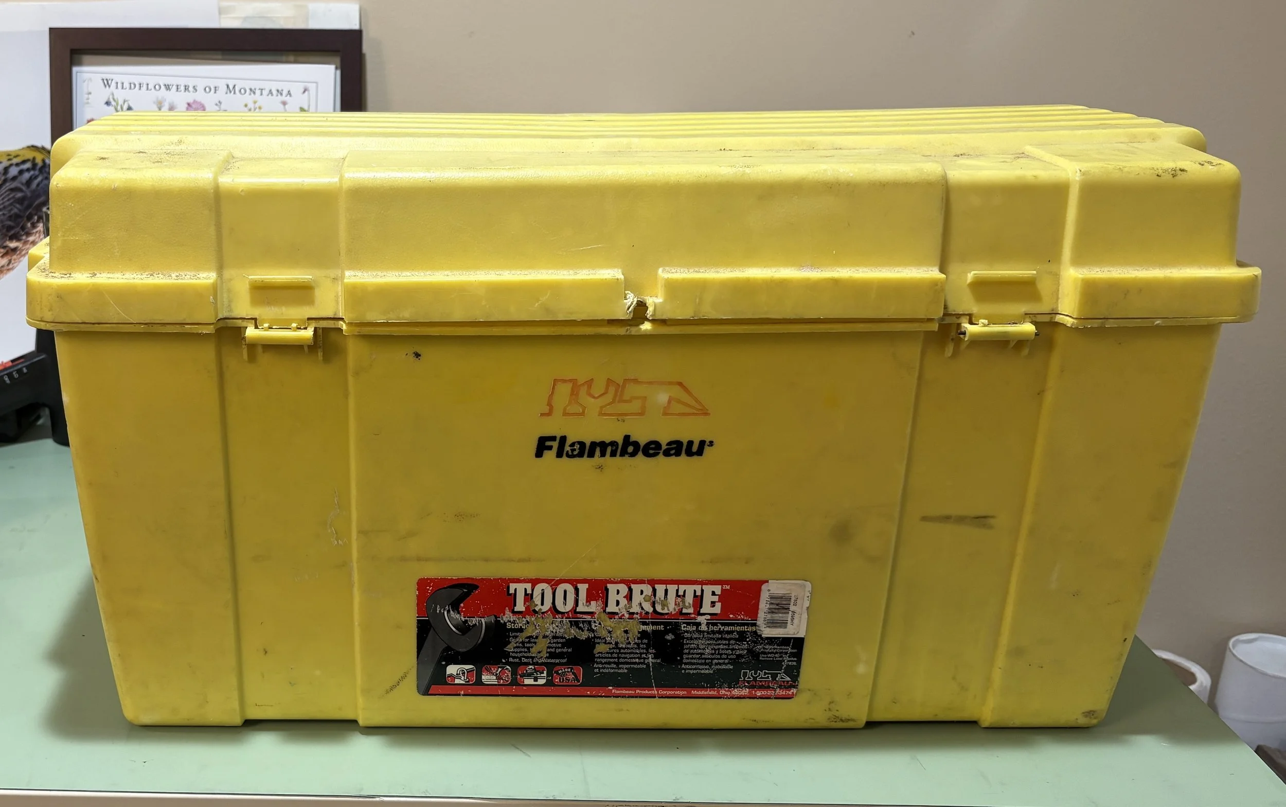 The box containing the horse skull and vertebrae.