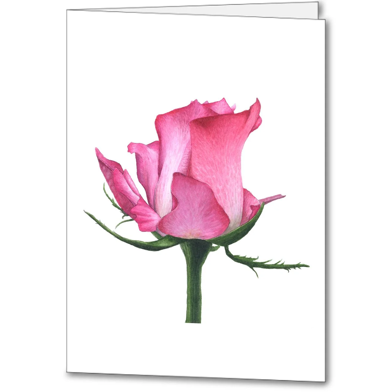 Rose Portrait Card.jpg