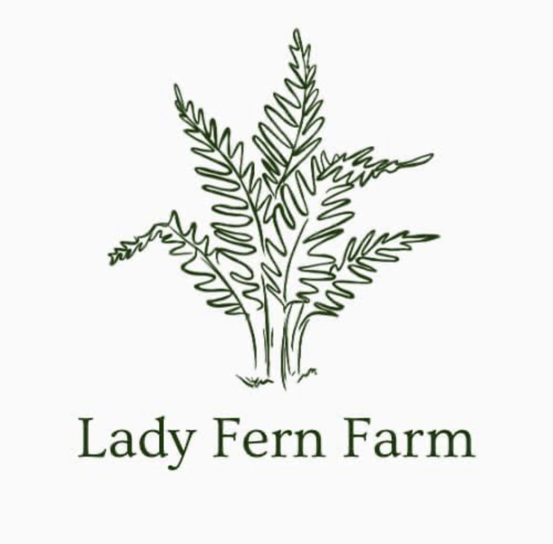 Lady Fern Farm