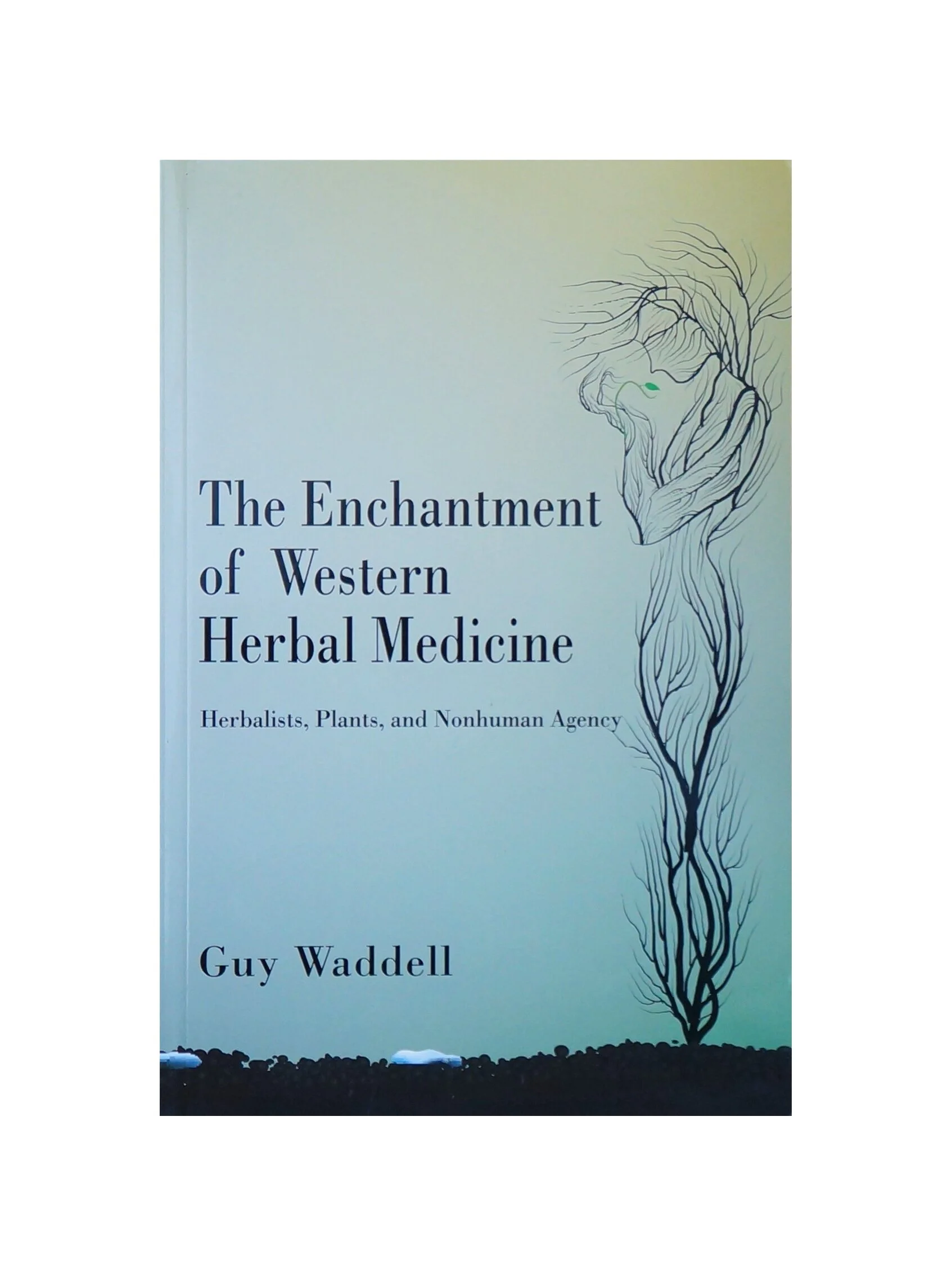 The Enchantment of Western Herbal Medicine - Guy Waddell