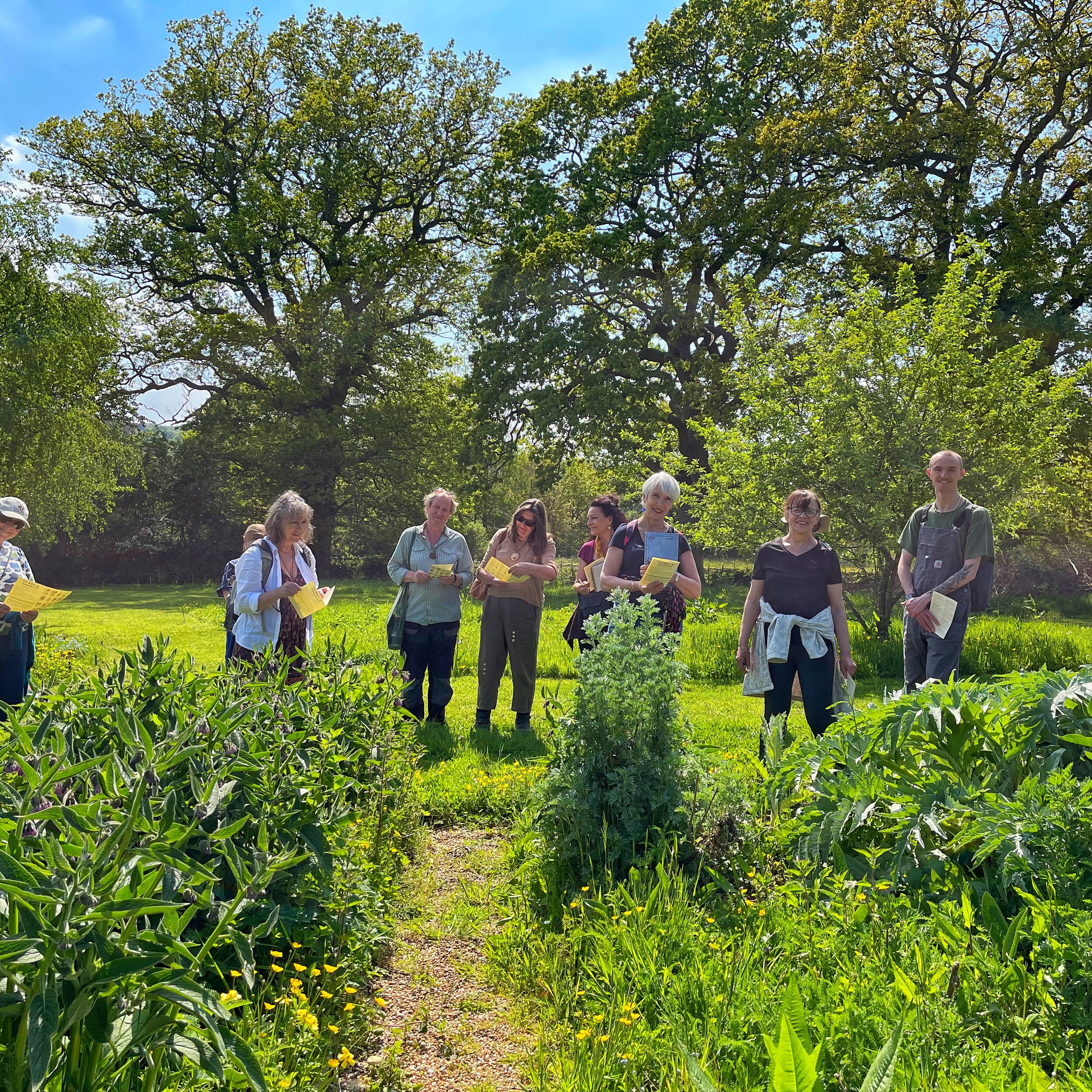 Herb Walk 3.jpeg