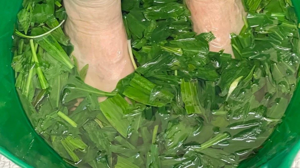 wild garlic footbath.jpeg