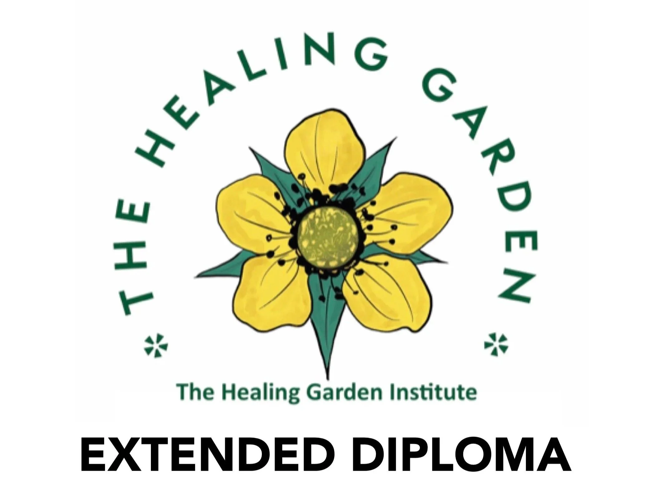 Start of 3-Year Extended Diploma in Naturopathy