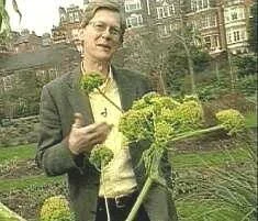 image.jpeg