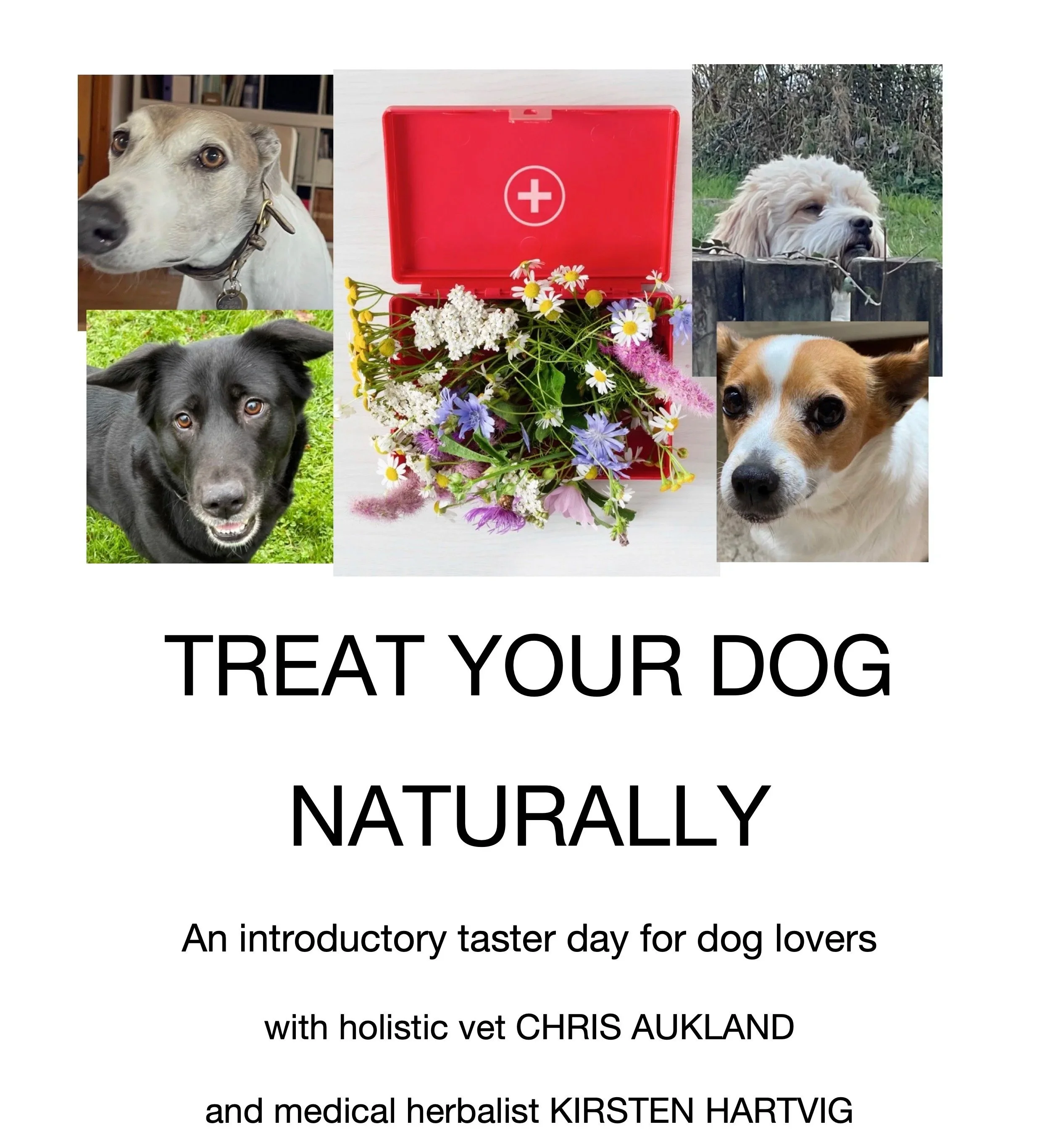 TREAT YOUR DOG NATURALLY - SUNDAY, 30 AUGUST 2026, 10AM – 4PM