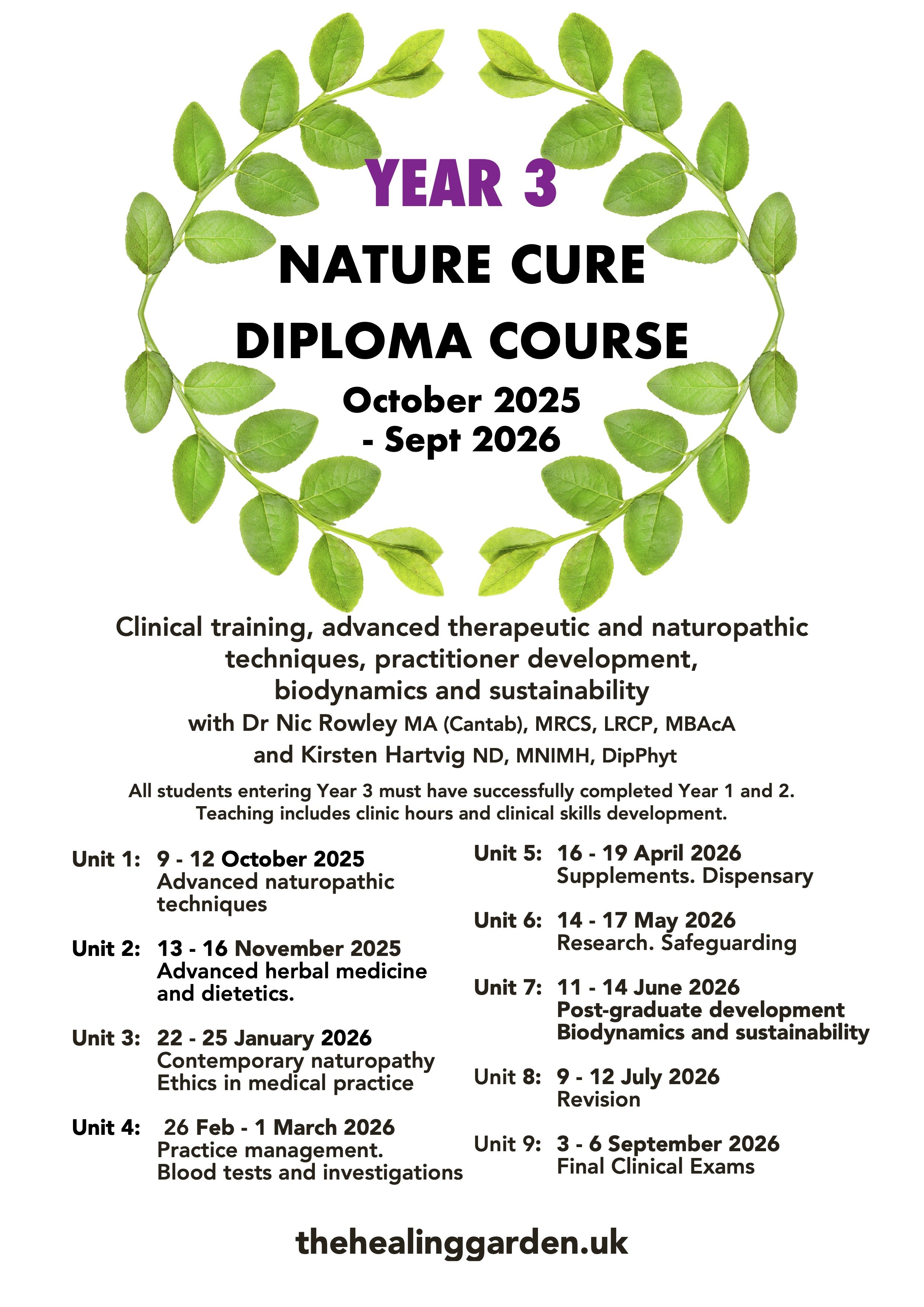 diploma course y3 25-26 overview.jpg