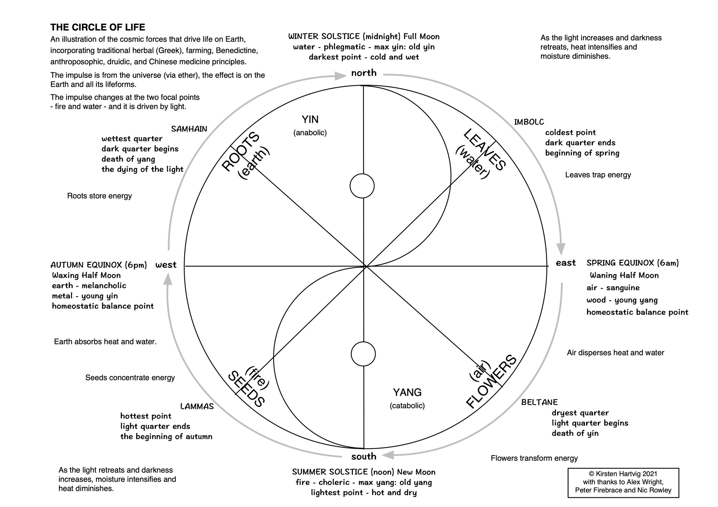 The Circle of Life diagram.jpg