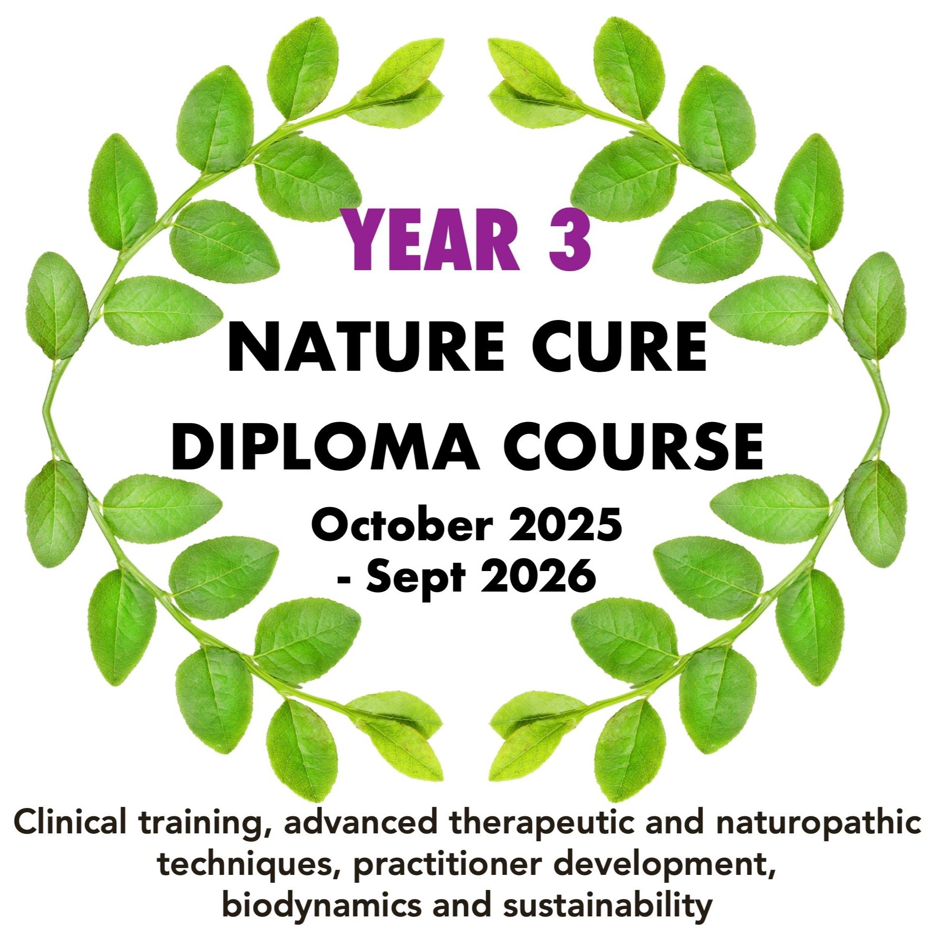 diploma+course+y3+25-26+overview.jpg
