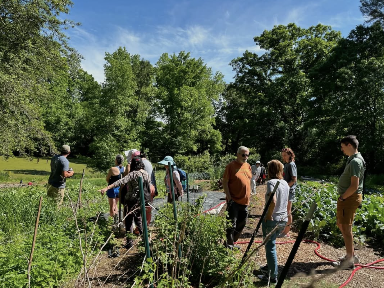 FIELD DAY - Low Tech/High Yield Soil Fertility Boosting Workshop