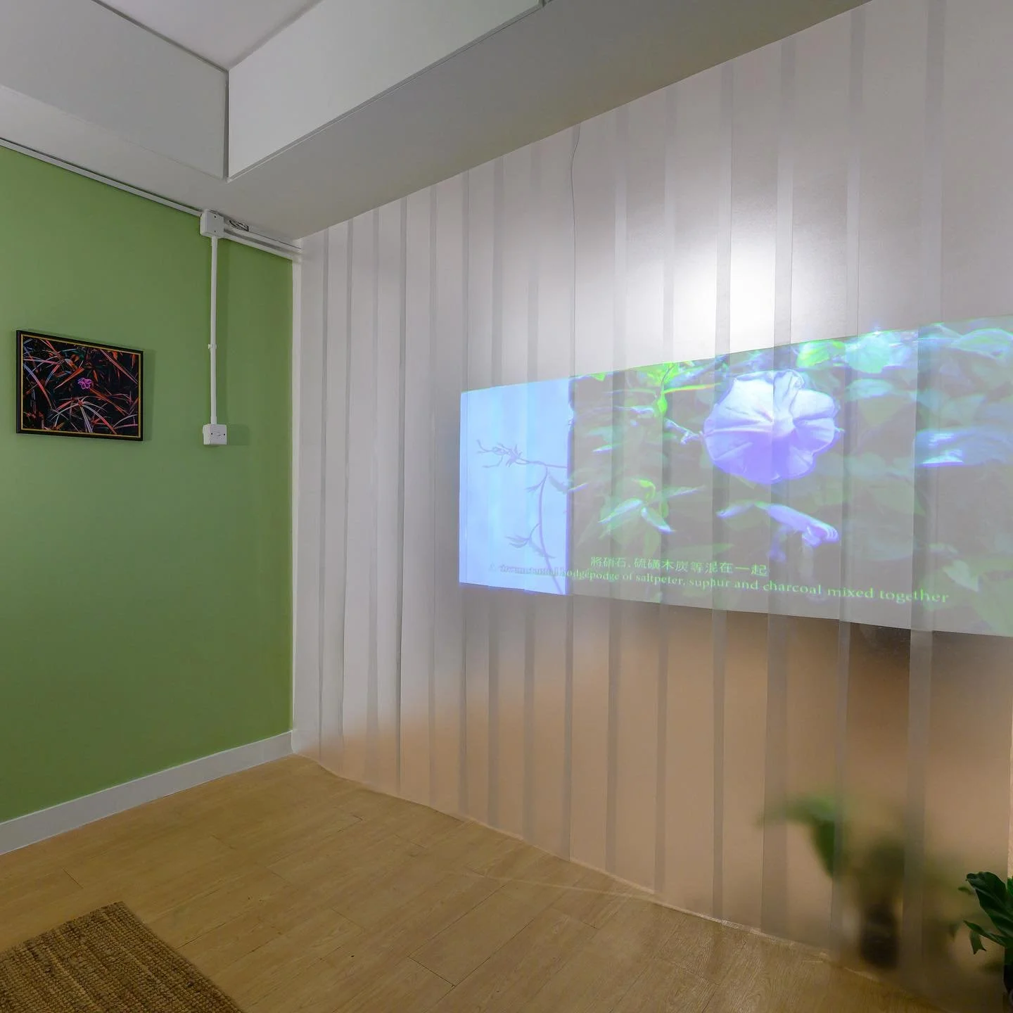 MUSTHAVEKEYS 策劃的夜間藝術項目「都市物種」展出六位藝術家的新作，關於存在於都市中的不同動植物物種，藉以回應人類在現今城市的各種生活模式，以及隨之衍生的變遷與連繫。

展覽第一部分「欲望」完滿結束，參與展出的洪忠傑、Michael Whittle和袁進𡛕，透過作品以人類視覺描繪各物種，反映人類欲望的延伸。

第二部分「殘像」，勞麗麗、謝銘思和袁雅芝的作品透過中上環社區街道歷史與面貌的變遷，以藝術家「自身」出發、以物種探索「地方」特性與個人身份記憶情感聯繫，以及對香港的想像。
-
&