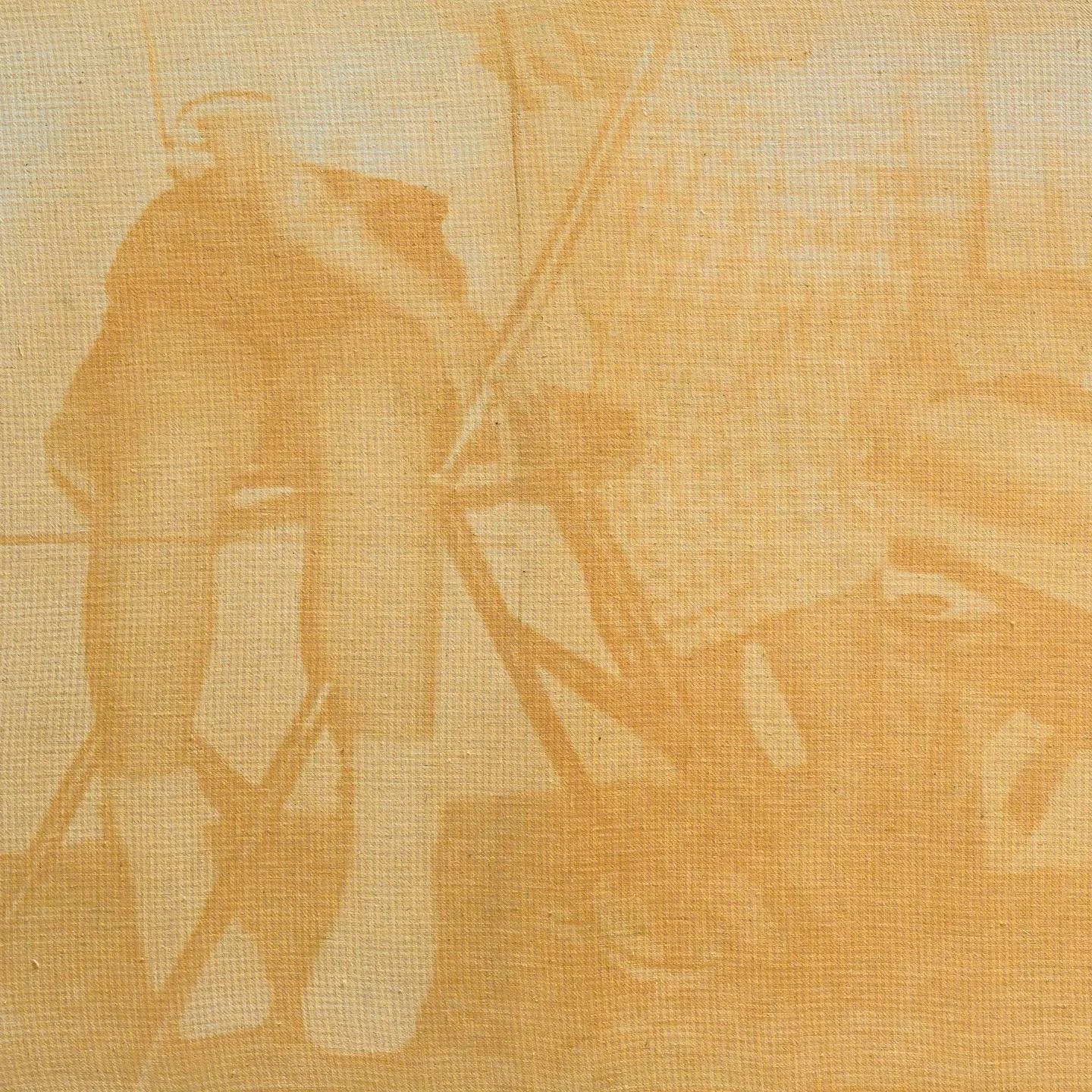 袁雅芝 @yuen_nga_chi 的作品《間尺與玻璃》靈感來自她的童年回憶 &mdash; 一段和家人短暫寄居在親戚家中數年的經歷。藝術家重回位於中環蘭桂坊榮華里的舊居，嘗試尋找過往居留過的痕跡和經歷。但原本是「家」的位置，現已人事全非。

透過作品，她回憶和凝視逝去的過往，同時找尋與現今時空的連結，探索物種處於逗留和短暫停留的居住狀態，以及「家」作為永久或半永久住所空間的定義和意義。

袁雅芝一向以攝影及錄像創作，作品題材探討自身與原生家庭的關係和牽絆，以及人類和不同物種之間的權力關係。
-