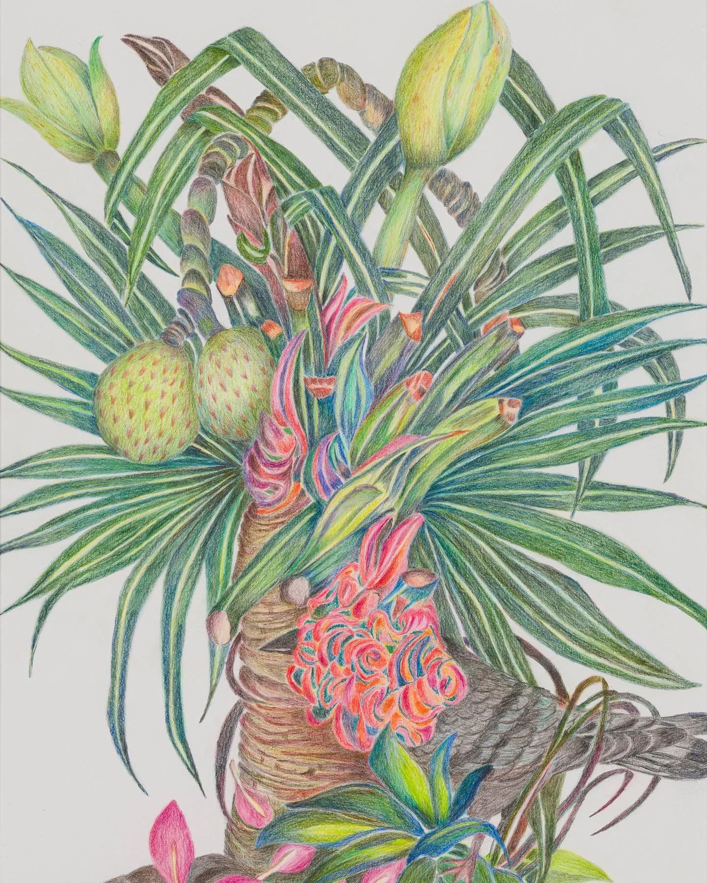 袁進𡛕 @chunnuitai_123 的作品《落戶》聚焦三種香港常見的外來植物品種 &ndash; 大花紫薇、鳳凰木、和蒲葵。它們均於十九世紀由英國殖民地政府從新加坡引進，並落戶香港。當時的英聯邦政府透過興建植物公園，促進不同殖民屬地之間交換植物和種籽；而作為種植、觀賞植物，以及教育大眾的場所，植物公園亦見證了香港的殖物地歷史。

植物被人工遷移和交換，象徵生命的變遷與無常，亦訴說「外來」物種在異地的適應過程。三種植物各有喻意：紫薇花代表「運氣」、鳳凰木寄意「離別與思念」、而蒲葵則示意 「懷