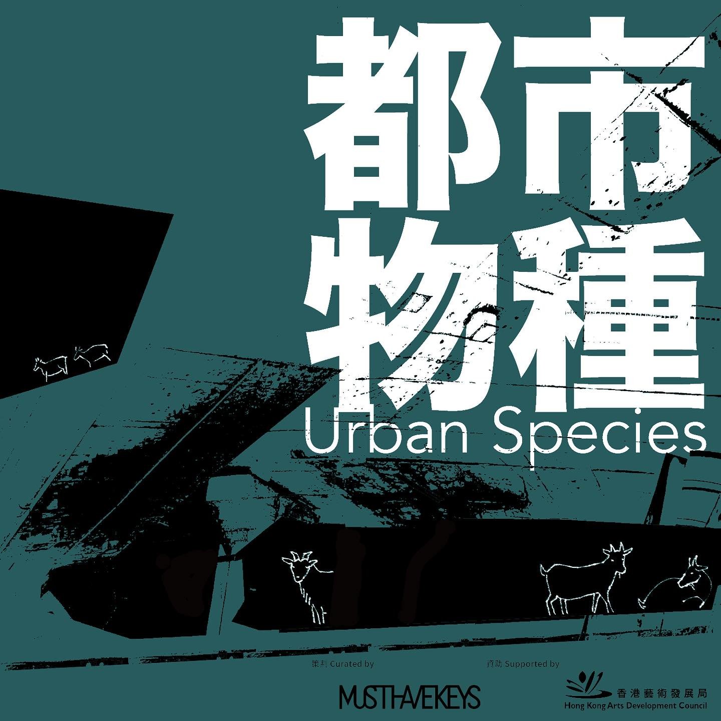 MUSTHAVEKEYS 策劃的夜間藝術項目「都市物種」展出六位藝術家的新作，關於存在於都市中的不同動植物物種，藉以回應人類在現今城市的各種生活模式，以及隨之衍生的變遷與連繫。

展覽第一部分「欲望」完滿結束，參與展出的洪忠傑、Michael Whittle和袁進𡛕，透過作品以人類視覺描繪各物種，反映人類欲望的延伸。

第二部分「殘像」，勞麗麗、謝銘思和袁雅芝的作品透過中上環社區街道歷史與面貌的變遷，以藝術家「自身」出發、以物種探索「地方」特性與個人身份記憶情感聯繫，以及對香港的想像。
-
&