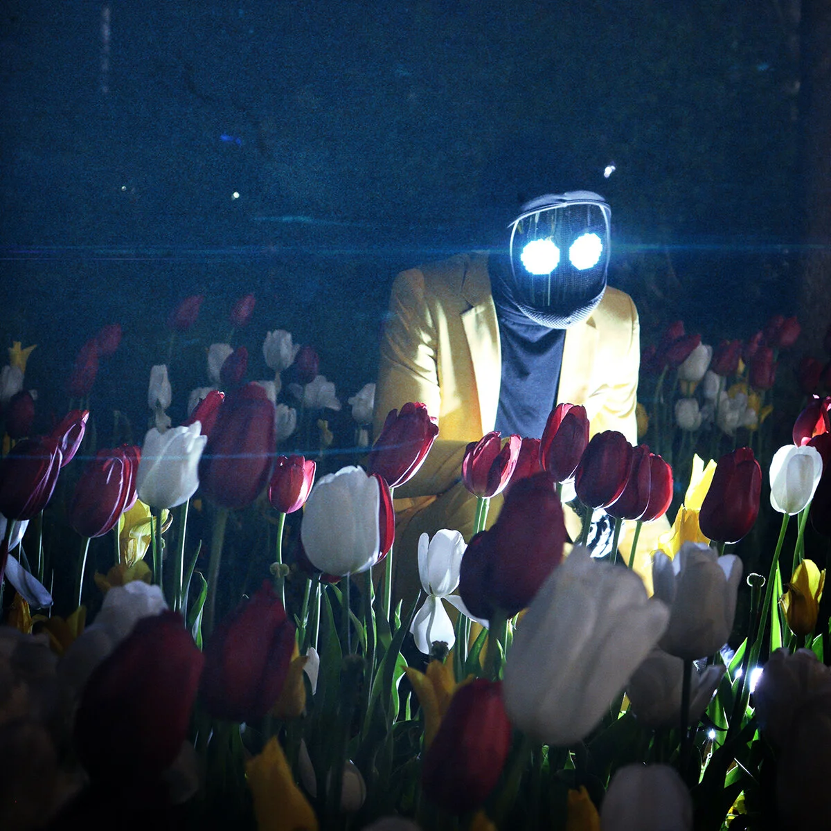 Dr.Van-Photo McKnight-1-Flowers-WEB-Square.jpg