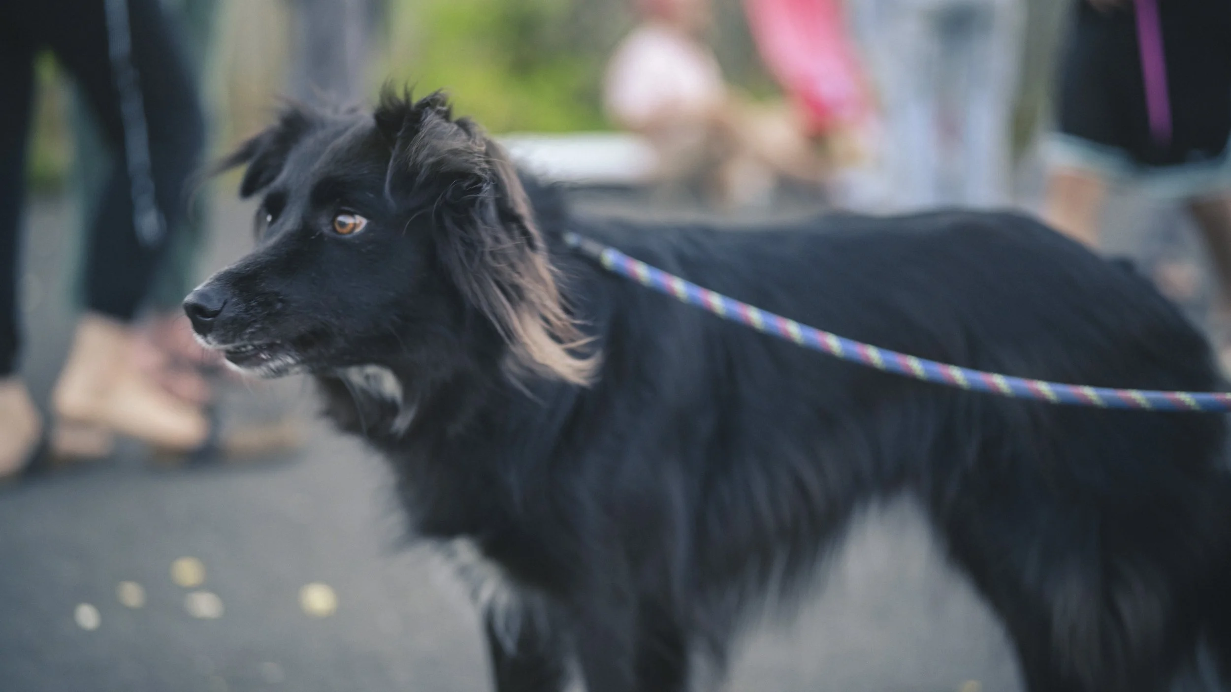 All Spruced Up!-116.jpg