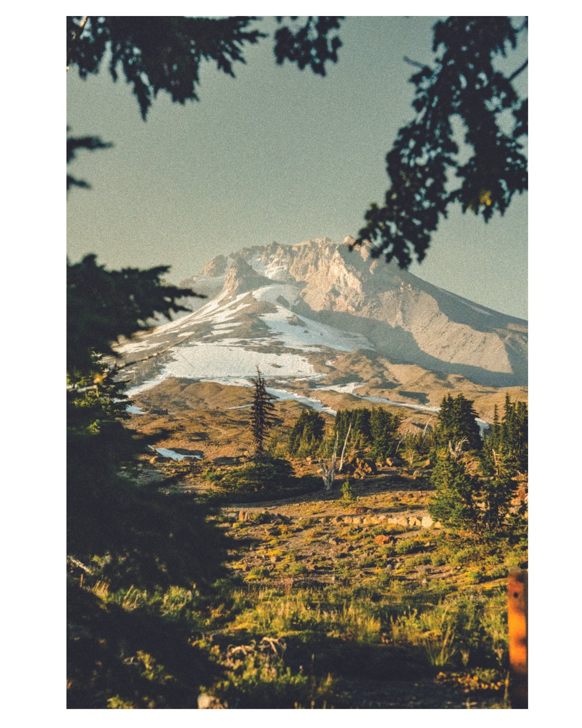 Hazey (Mt.) Hood (Vertical)