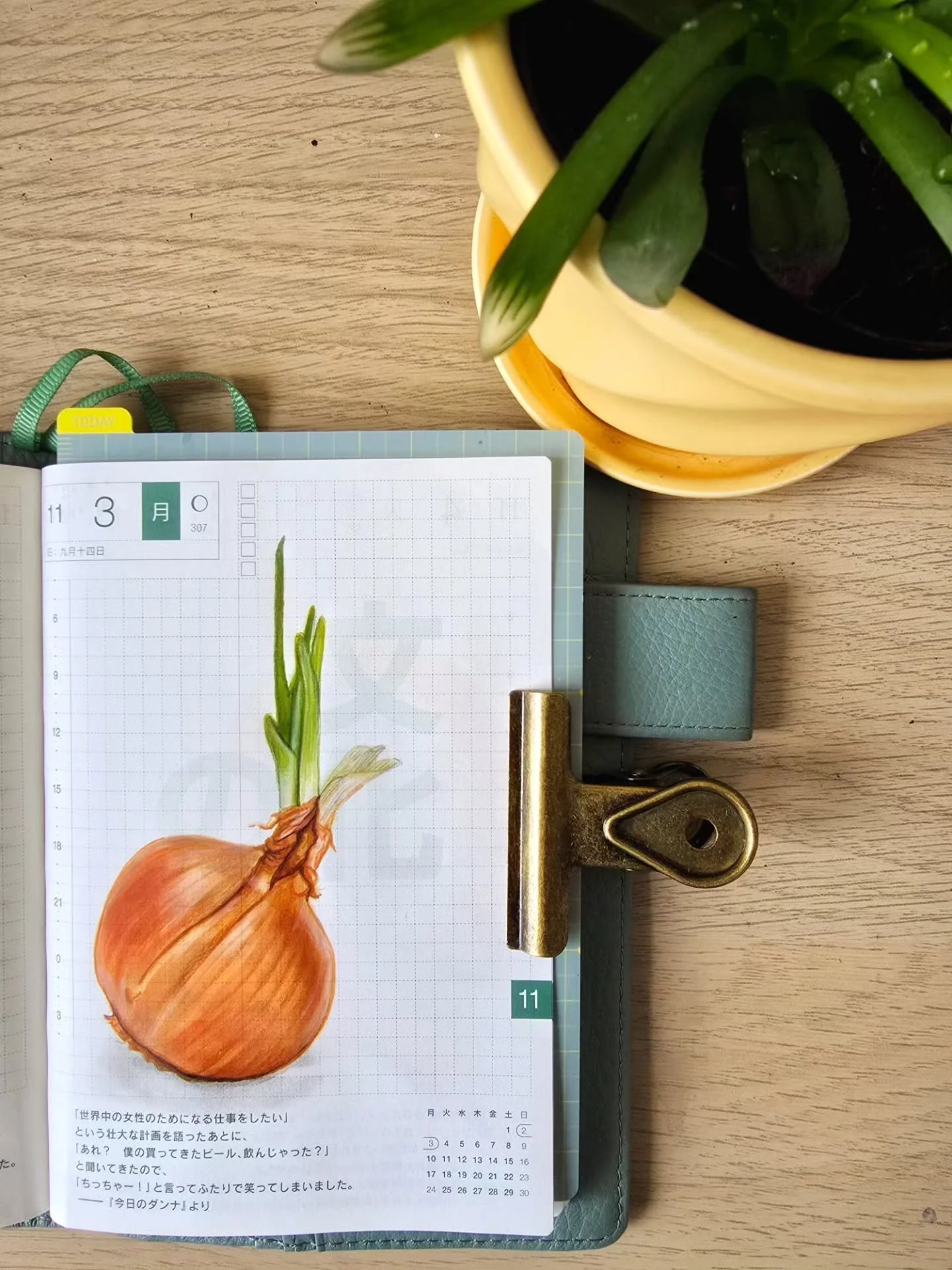 Art journal pages 🧅 🍋 🦩
Markers and colored pencils are my current favorites. For some reason, I very often end up drawing either birds or food in my journal.  No idea why 😅
#artjournaling
#hobonichi #hobonichitecho #artinspiredbynature #ohuhumar