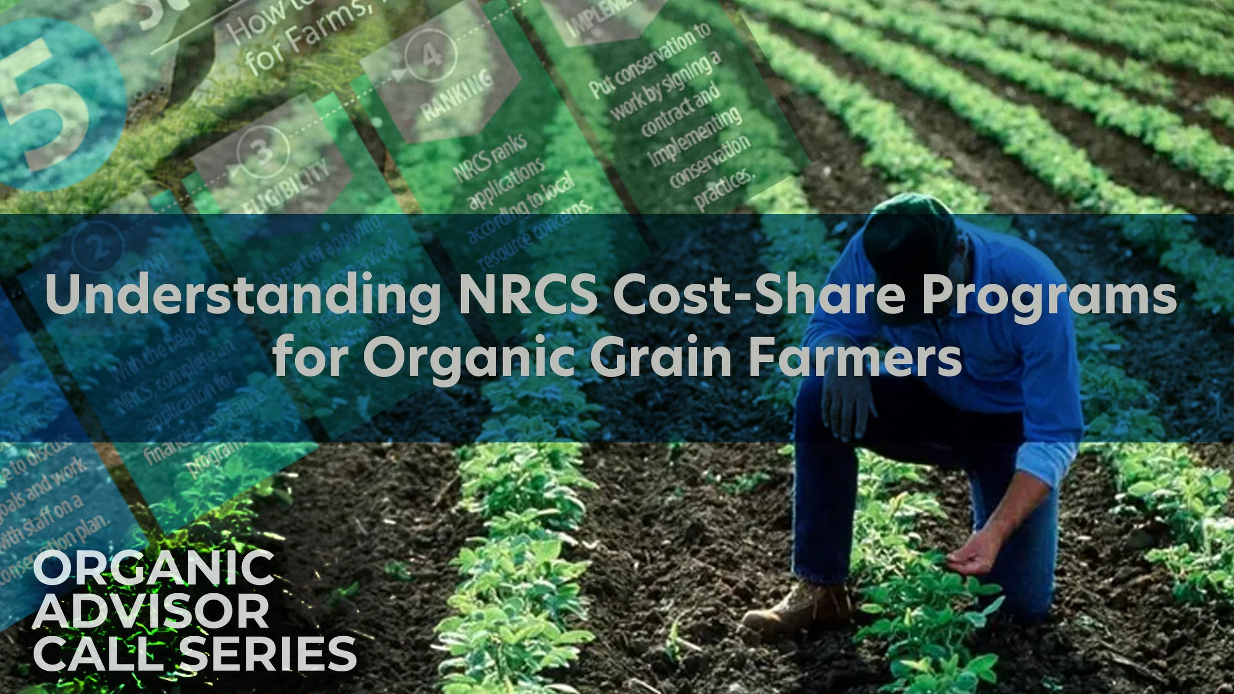 Understanding NRCS Cost-Share Programs for Organic Grain Farmers - a Zoom event 