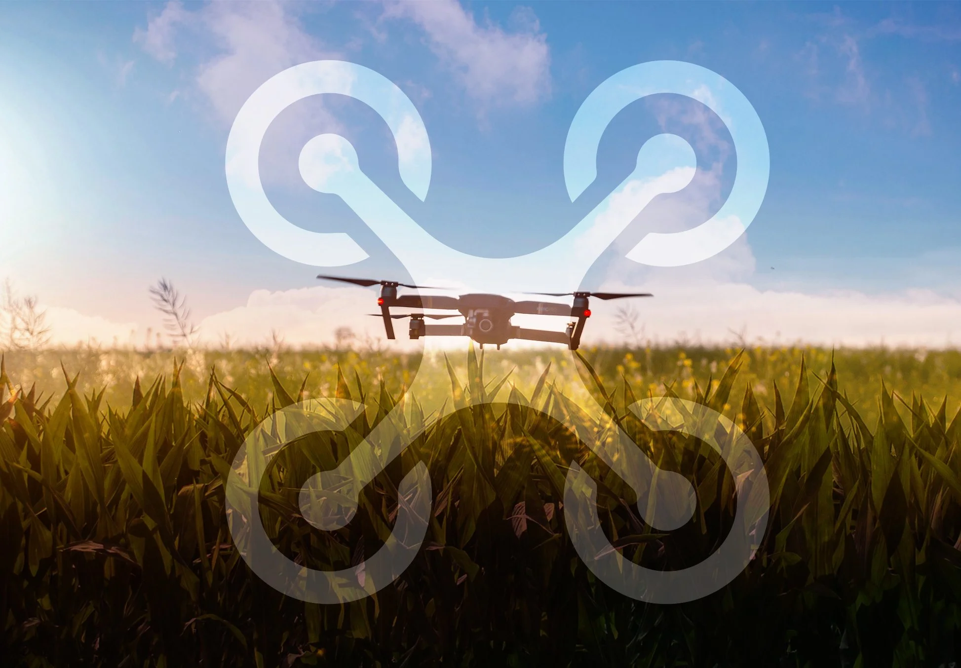 Drones in Organic Agriculture