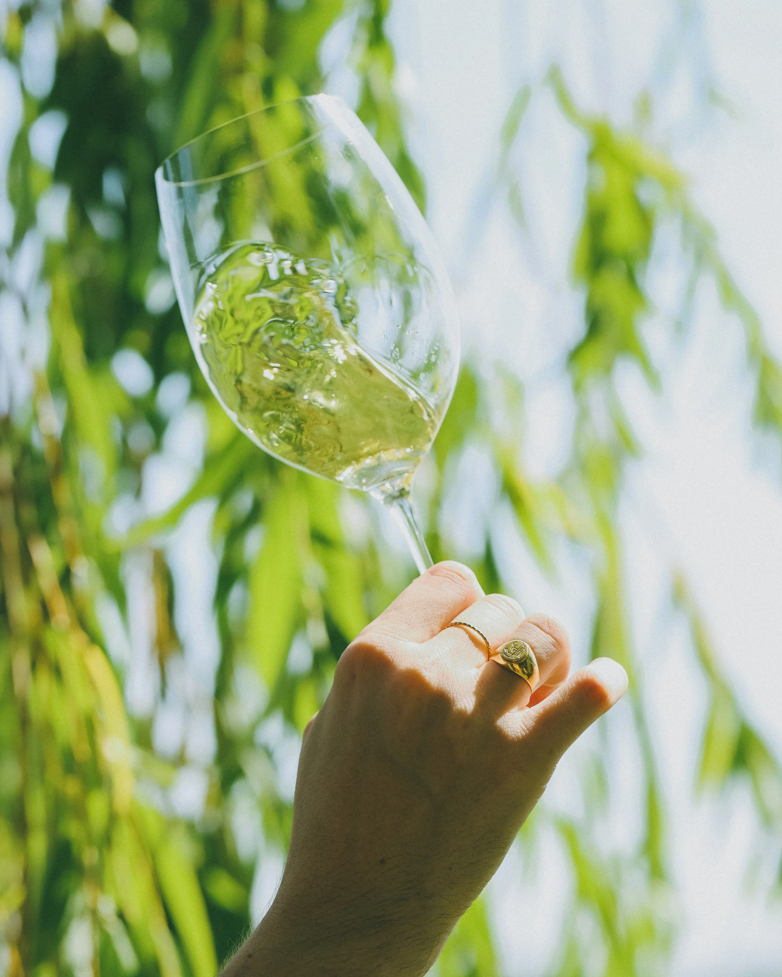 consorzio bolgheri e sassicaia