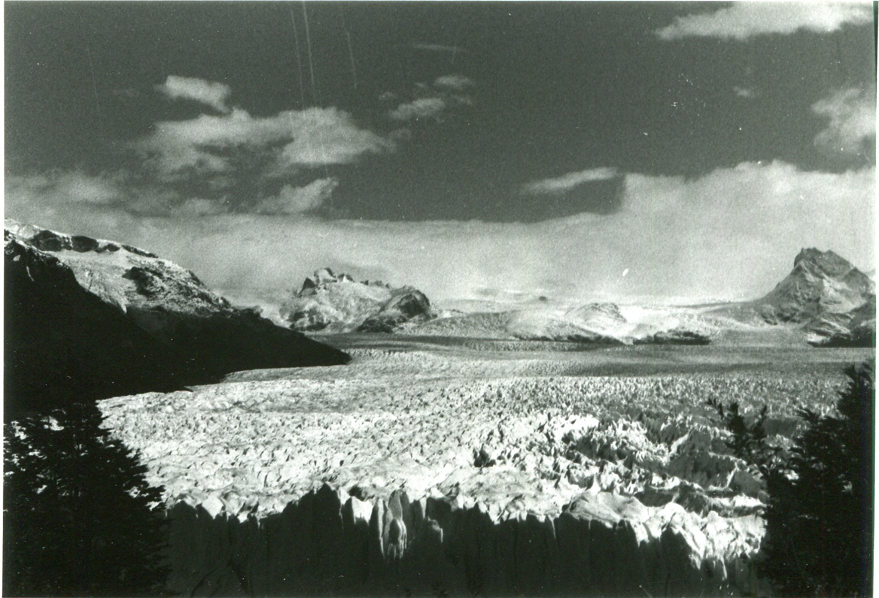 img130.jpg