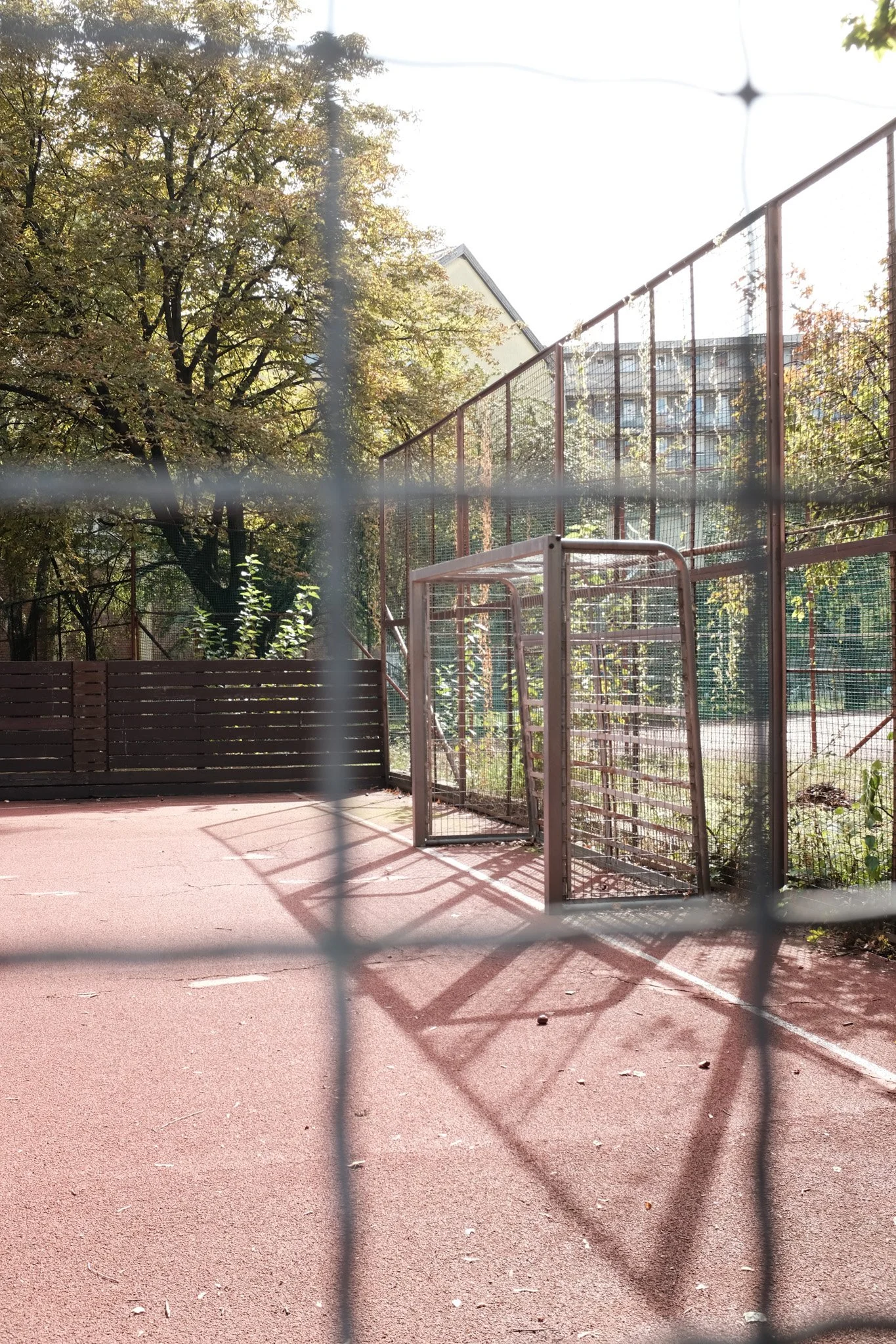 DSCF0793.jpg