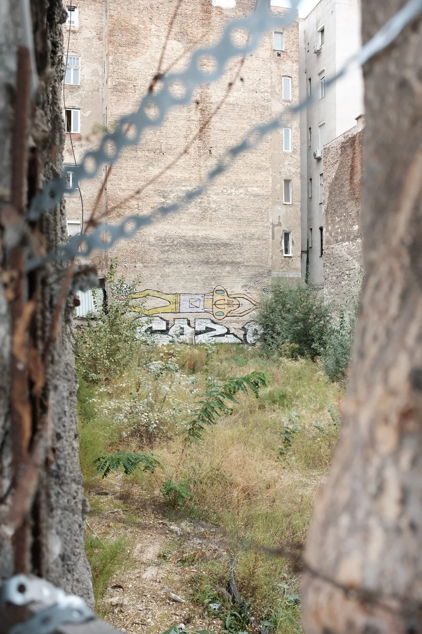 DSCF0753.jpg