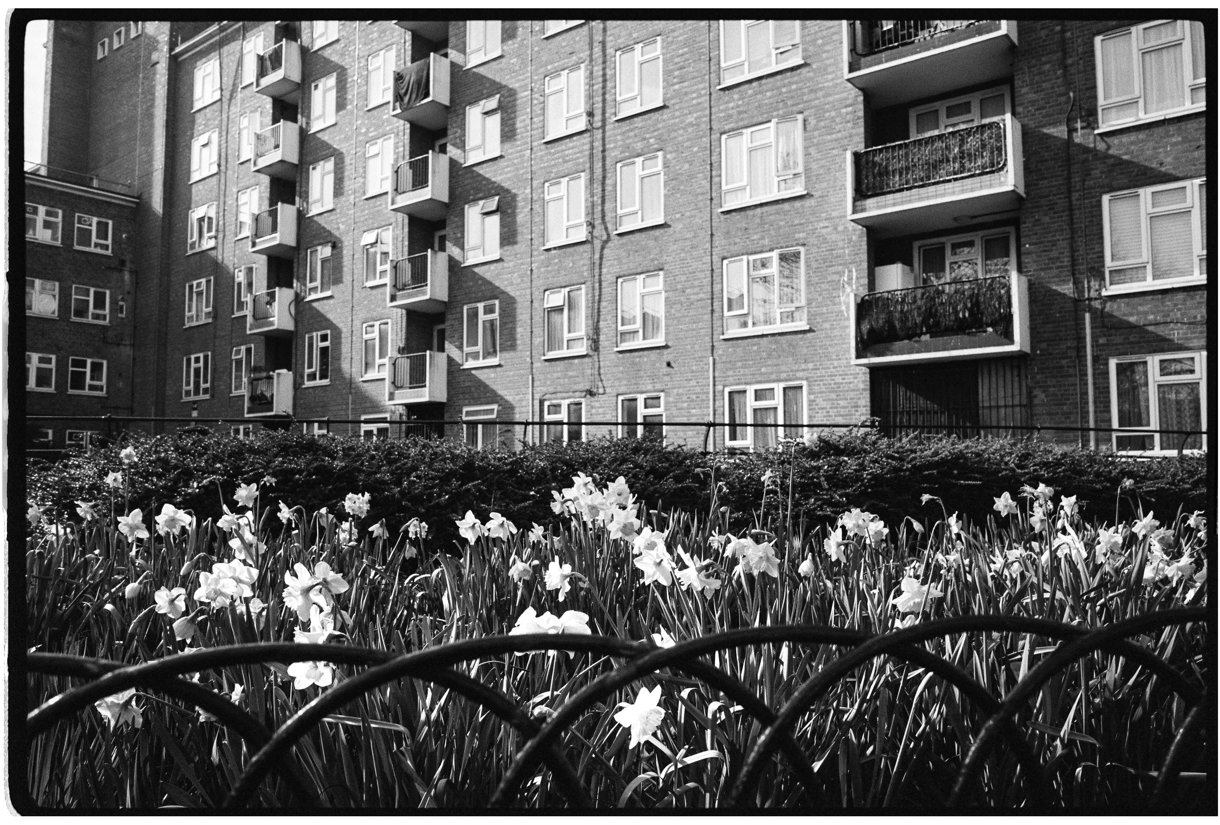 Black-and-white photo taken from inside a bicycle basket, showing a garden with flowers in the foreground and a multi-story brick apartment building with balconies in the background.