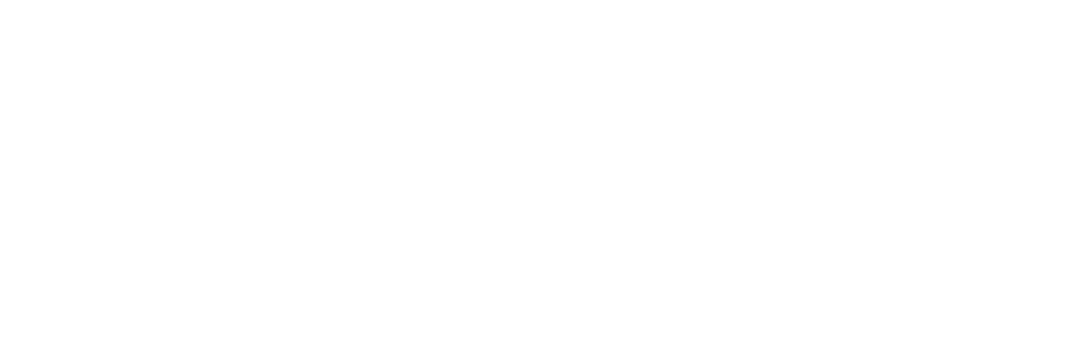 MRJ PRO CLEAN