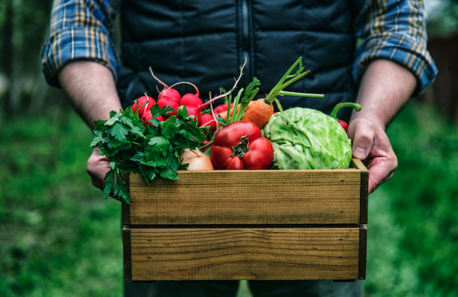 What’s New: Diversity in Agriculture