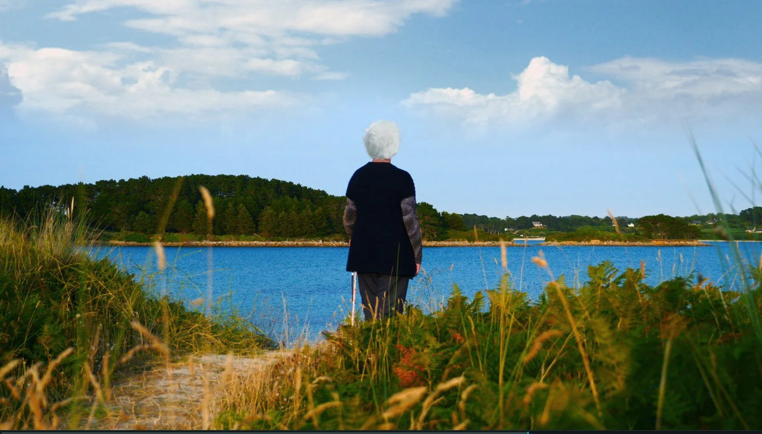 Andrée en son île