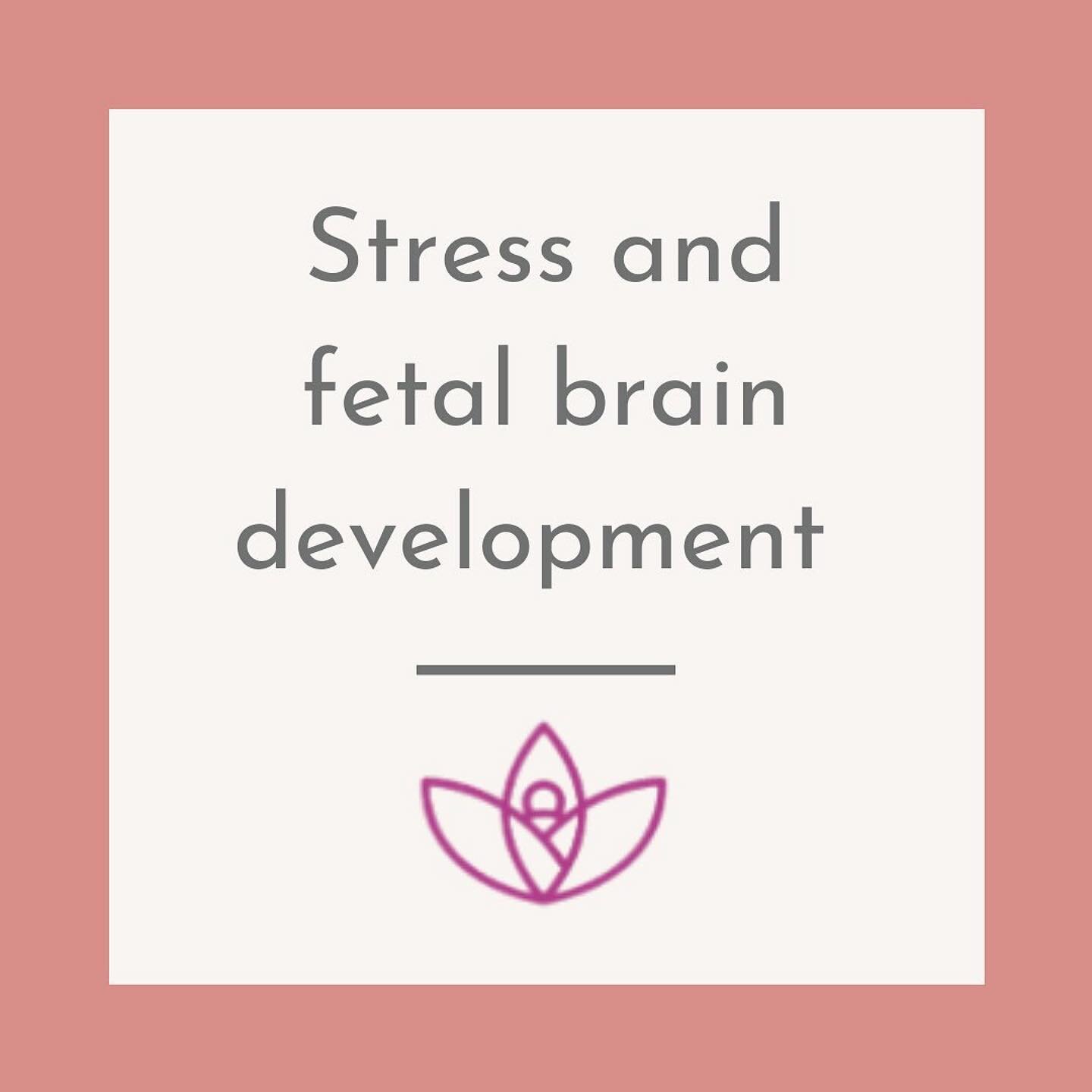 How-to give your baby a head start with stronger and healthier DNA✨

Did you know that you can set your baby up for success while they are still developing?

There is a vastly growing field of fetal development and fetal psychology: The in-utero envi